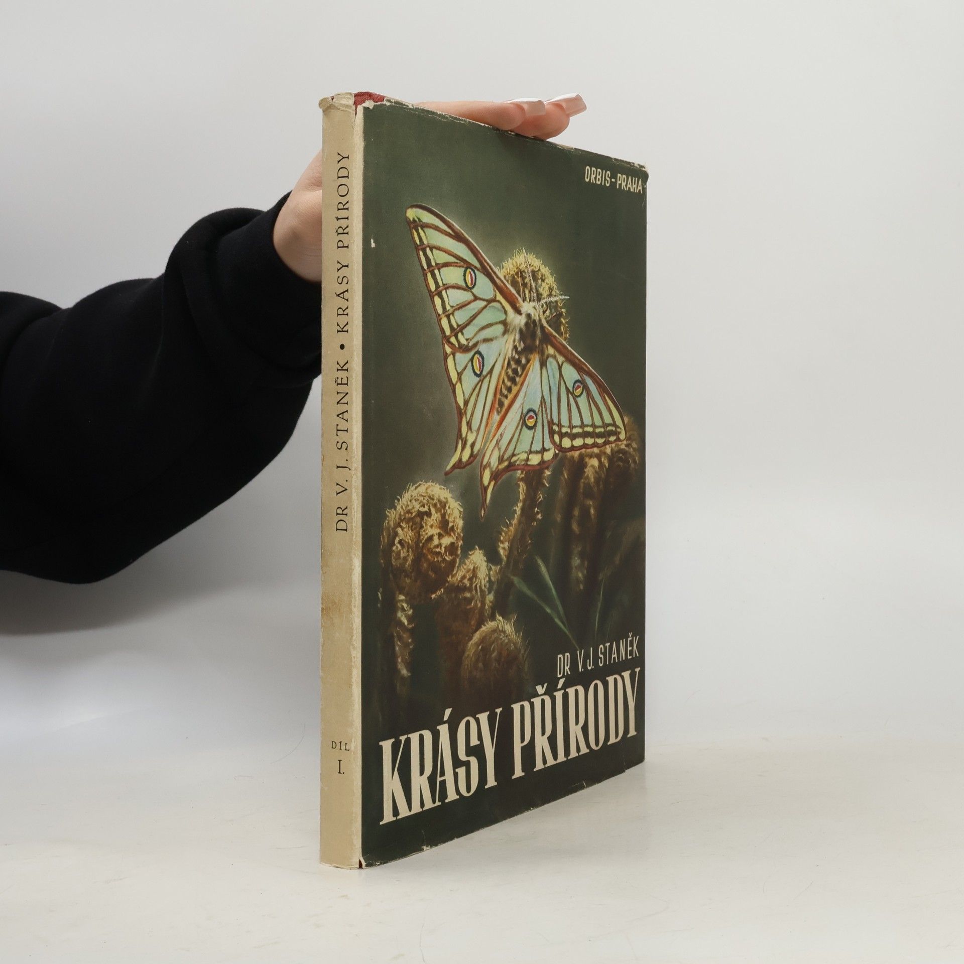 Krásy přírody I. S kamerou za krásami matky Země