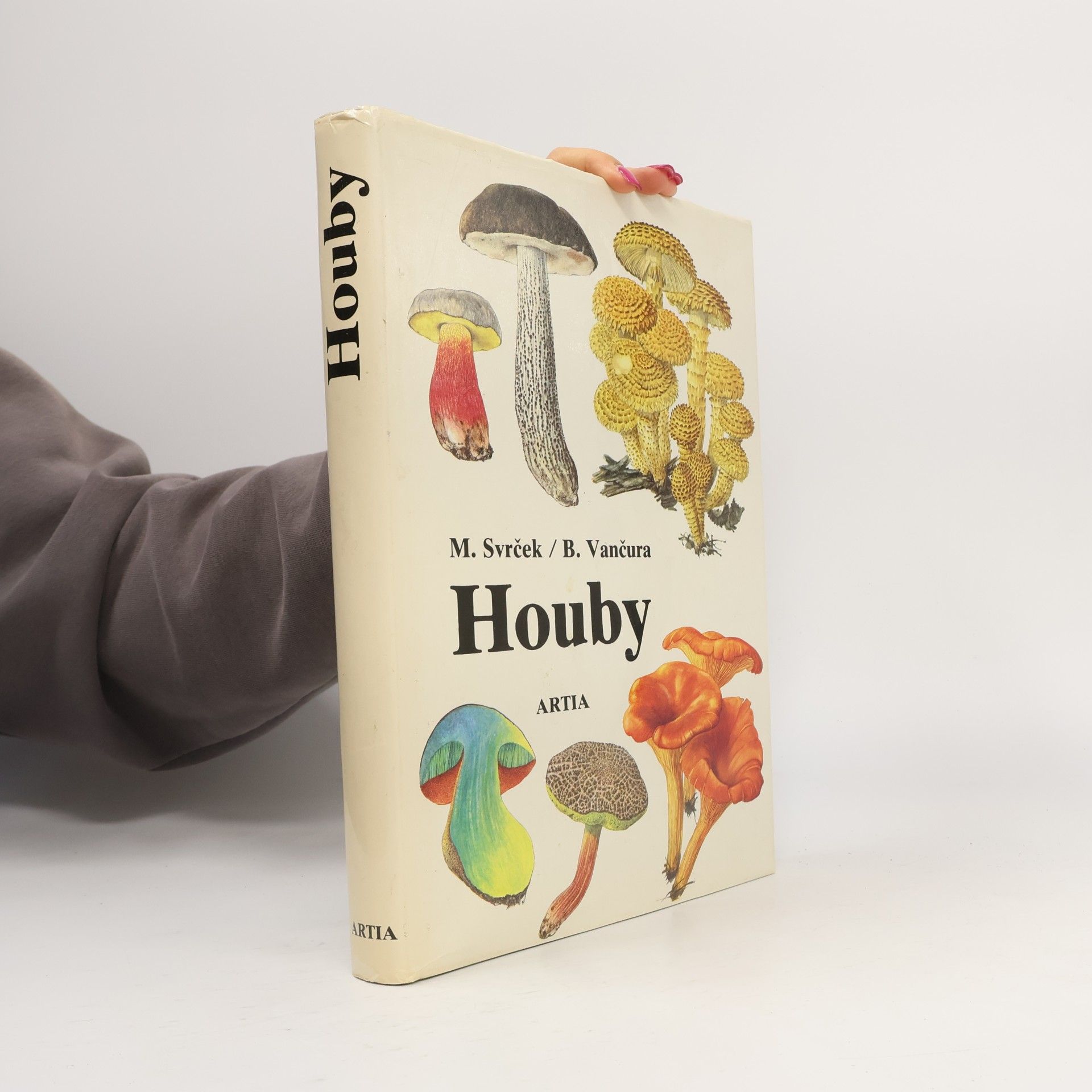 Houby
