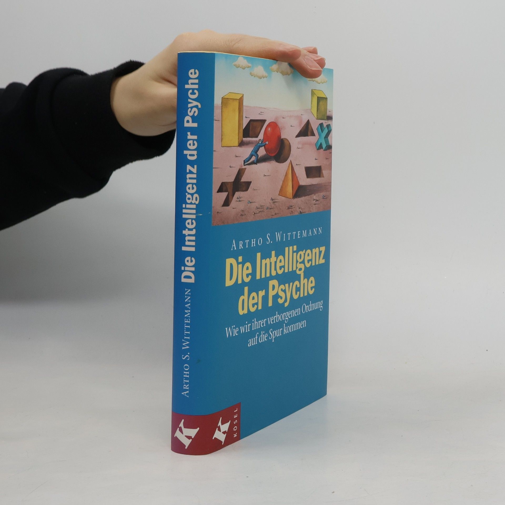 Die Intelligenz der Psyche: Wie wir ihrer verborgenen Ordnung auf die Spur kommen