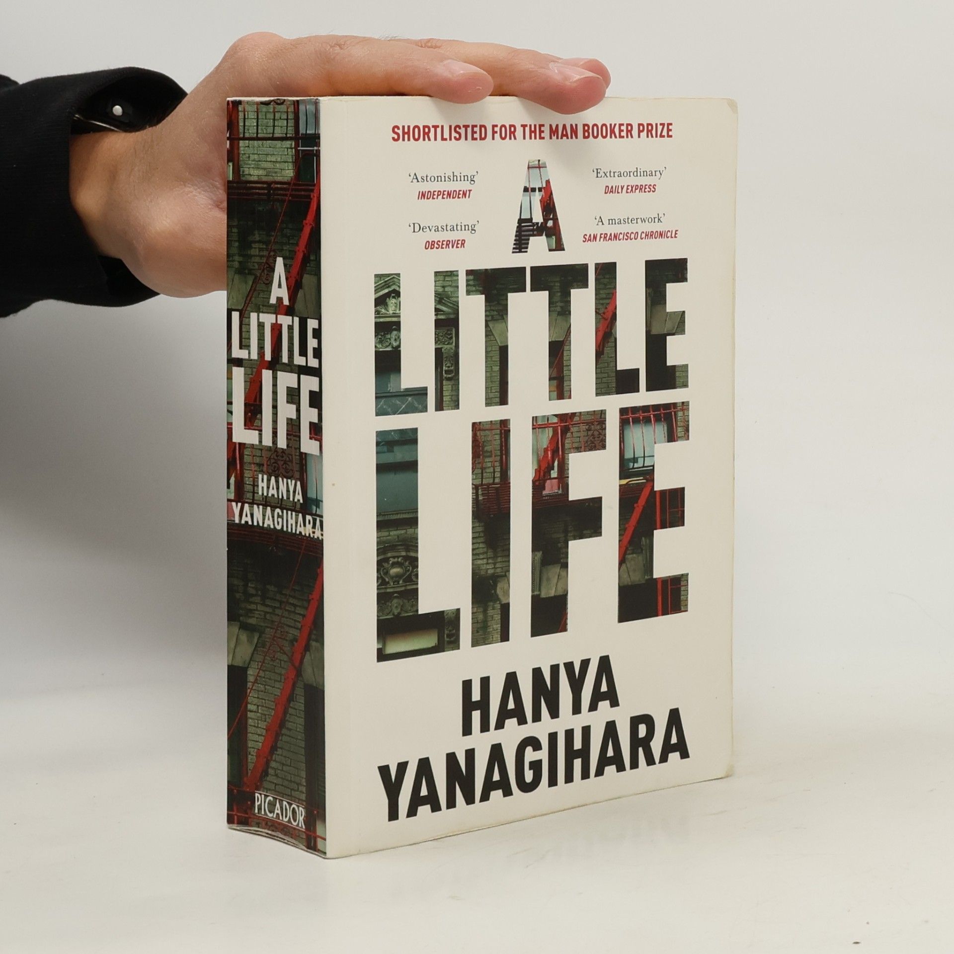 A Little Life