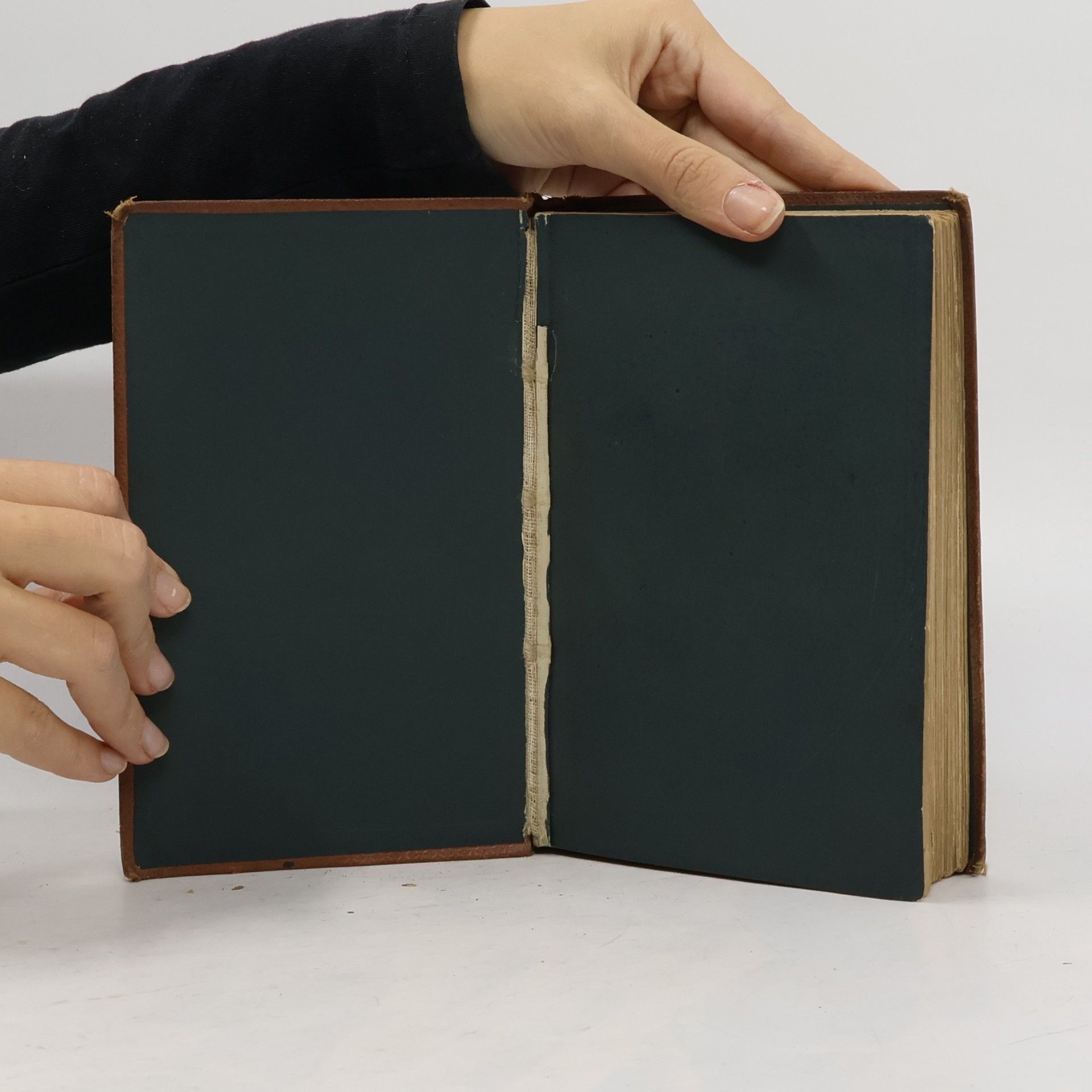 Various authors The Great Stone-Book of Nature