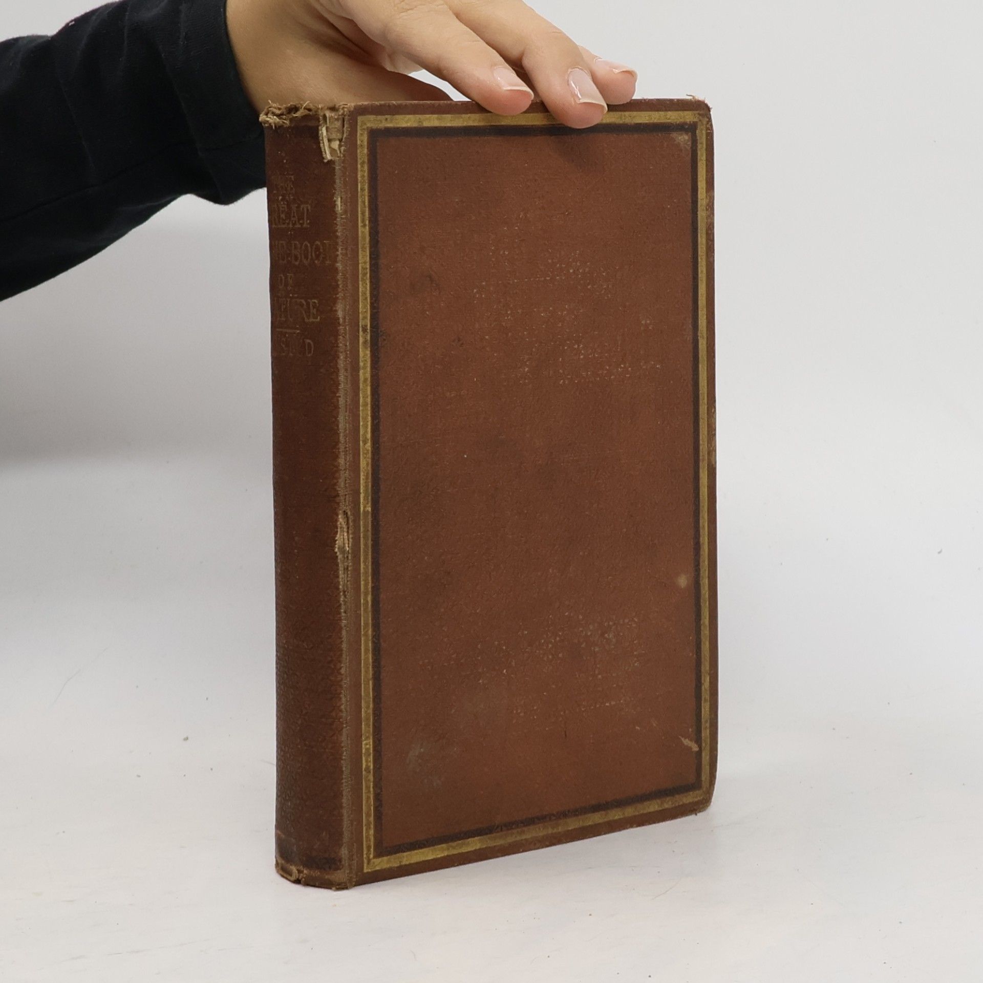 Various authors The Great Stone-Book of Nature