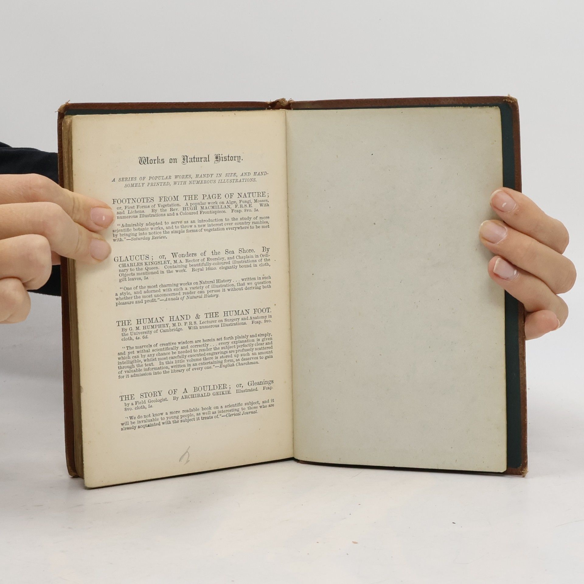 Various authors The Great Stone-Book of Nature