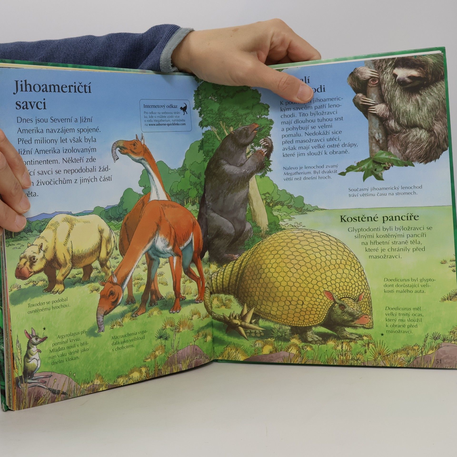 Sam Taplin Dinosauři a prehistorický život: Obrazová encyklopedie