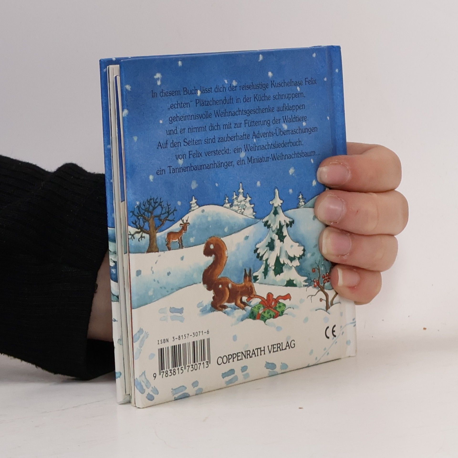 Annette Langen Adventspost von Felix