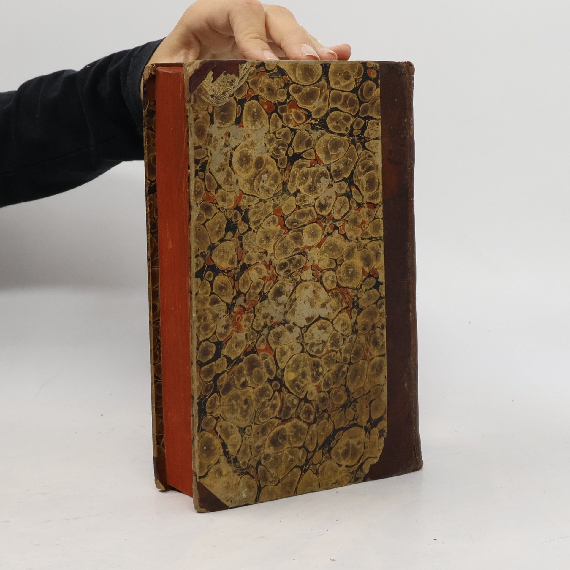 Autorenkollektiv Der heilige Vinzentius von Paul, dargestellt in seinem Leben und Wirken. Erster Band