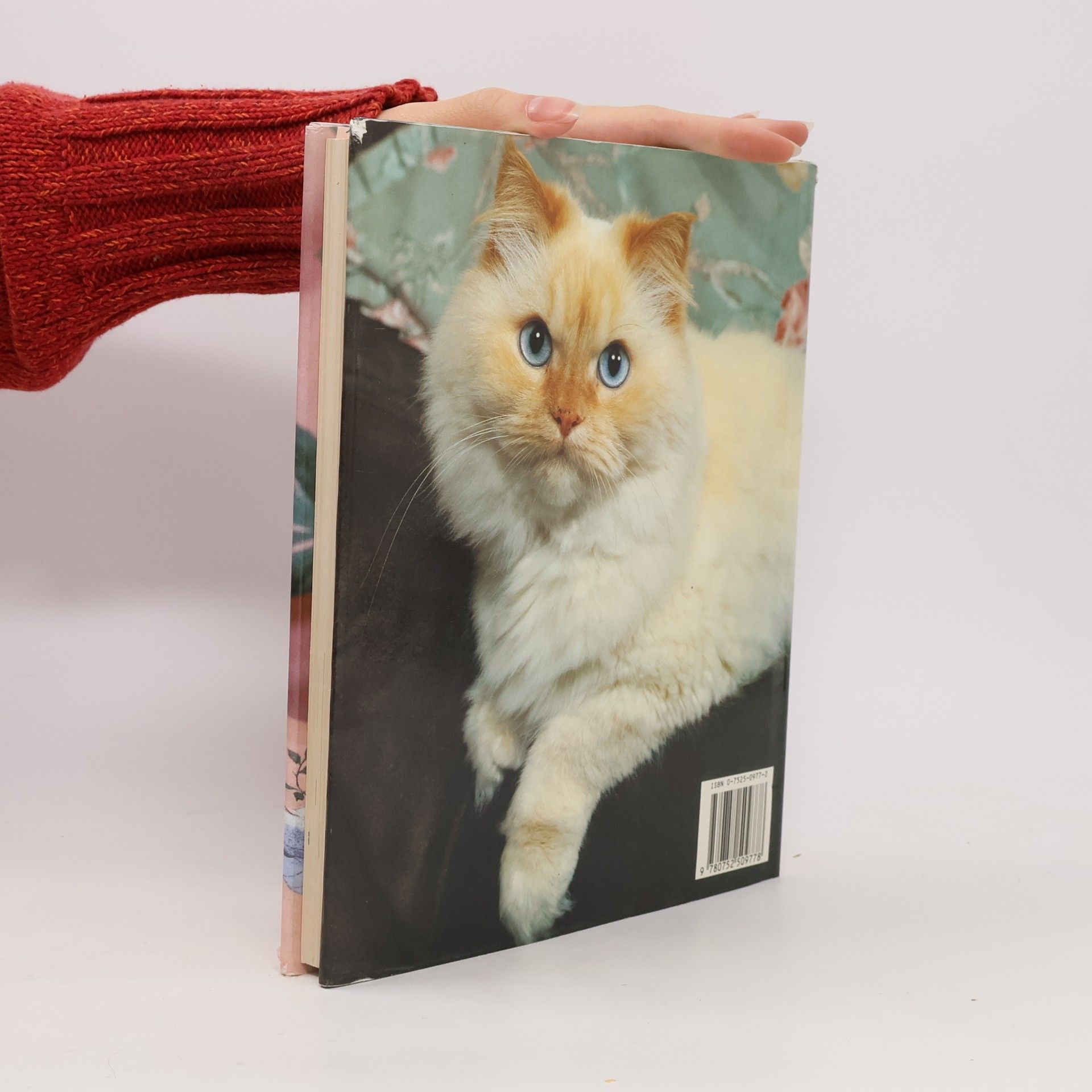 Joan Moore The Cat Lover's Companion