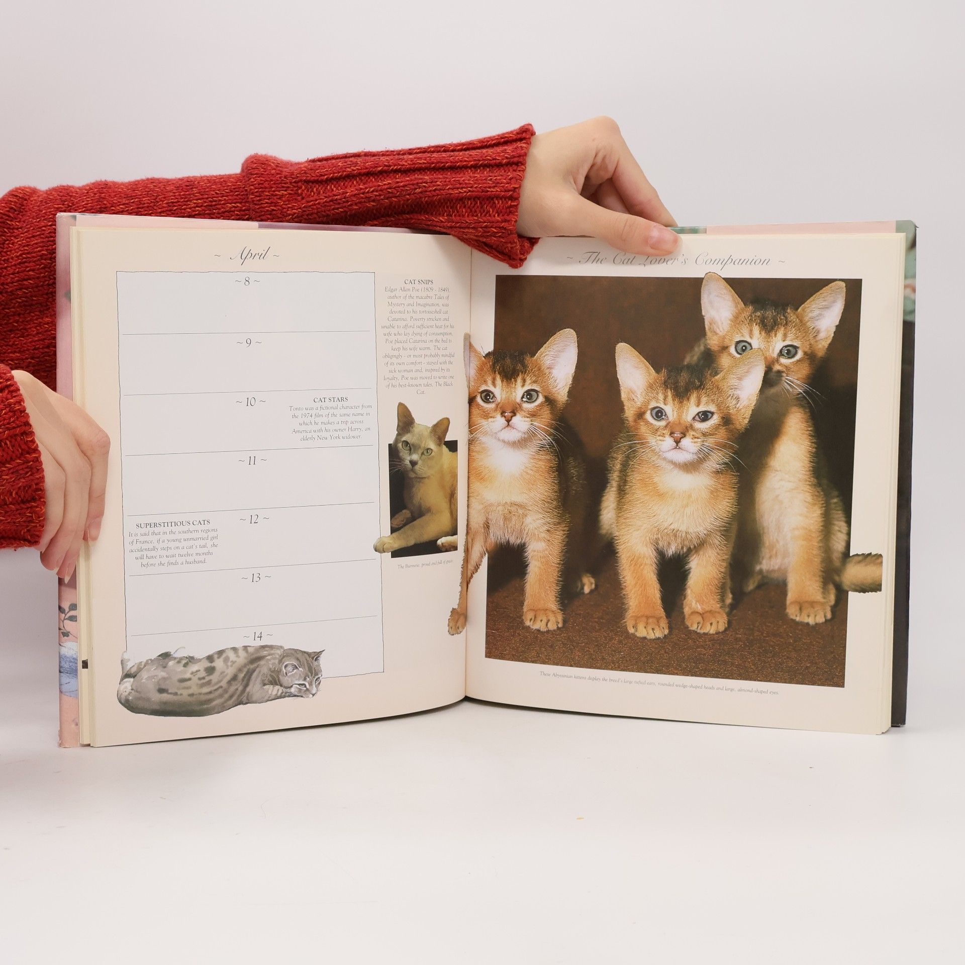 Joan Moore The Cat Lover's Companion