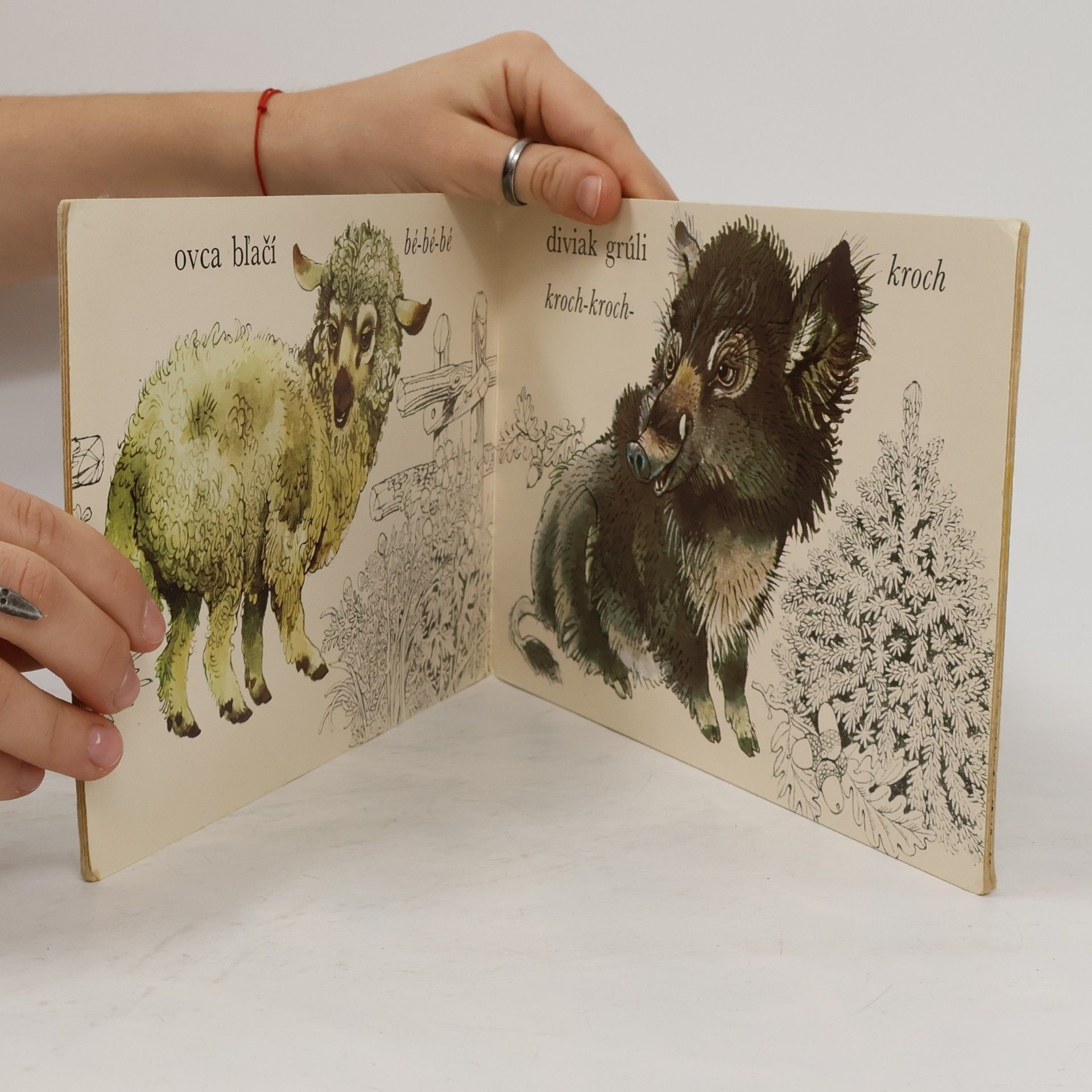 Vladimír Machaj Medzi zvieratkami