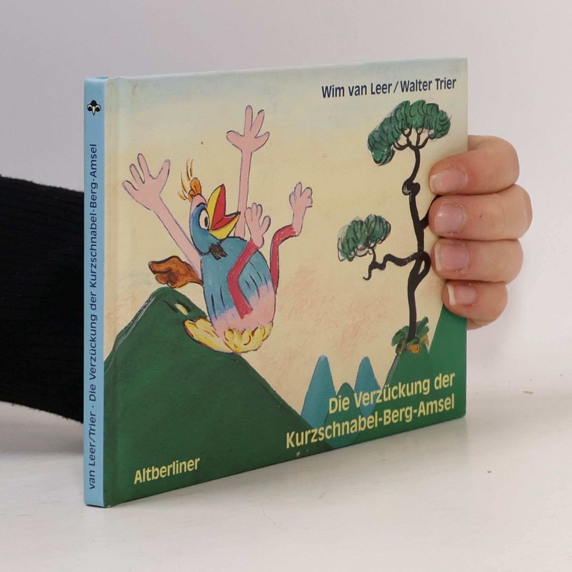 Die Verzückung der Kurzschnabel-Berg-Amsel