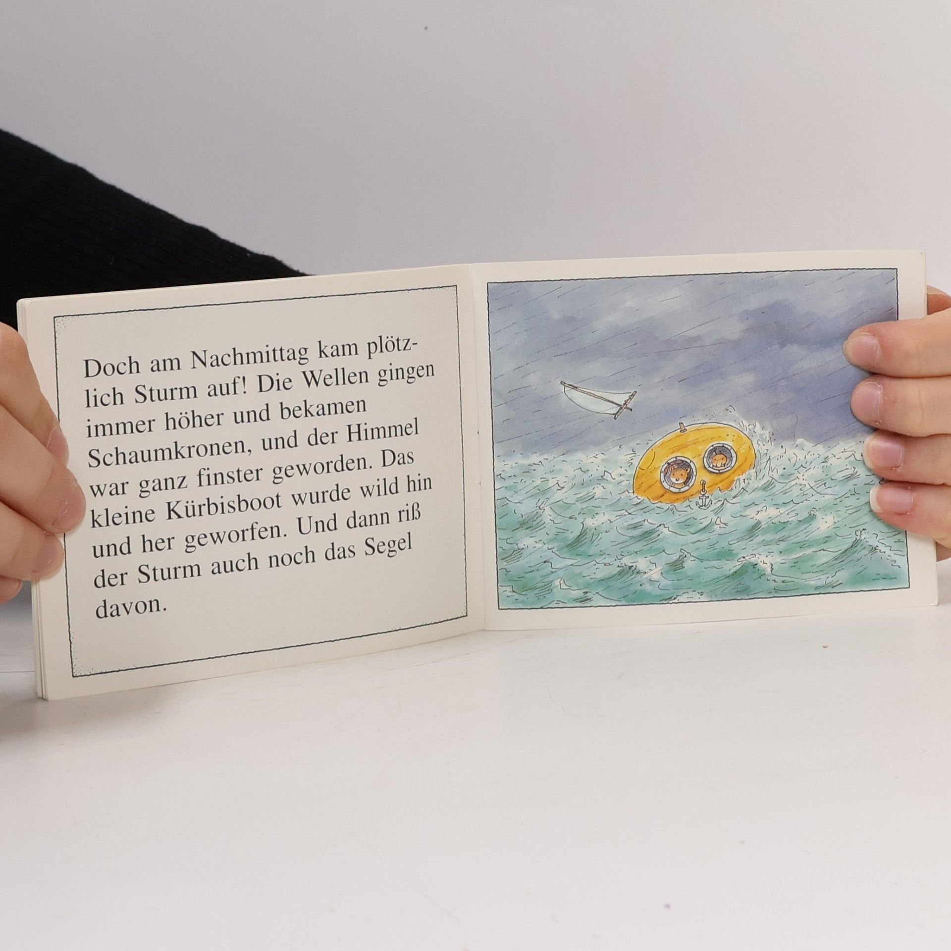 Erwin Moser Das kleine Kürbisboot