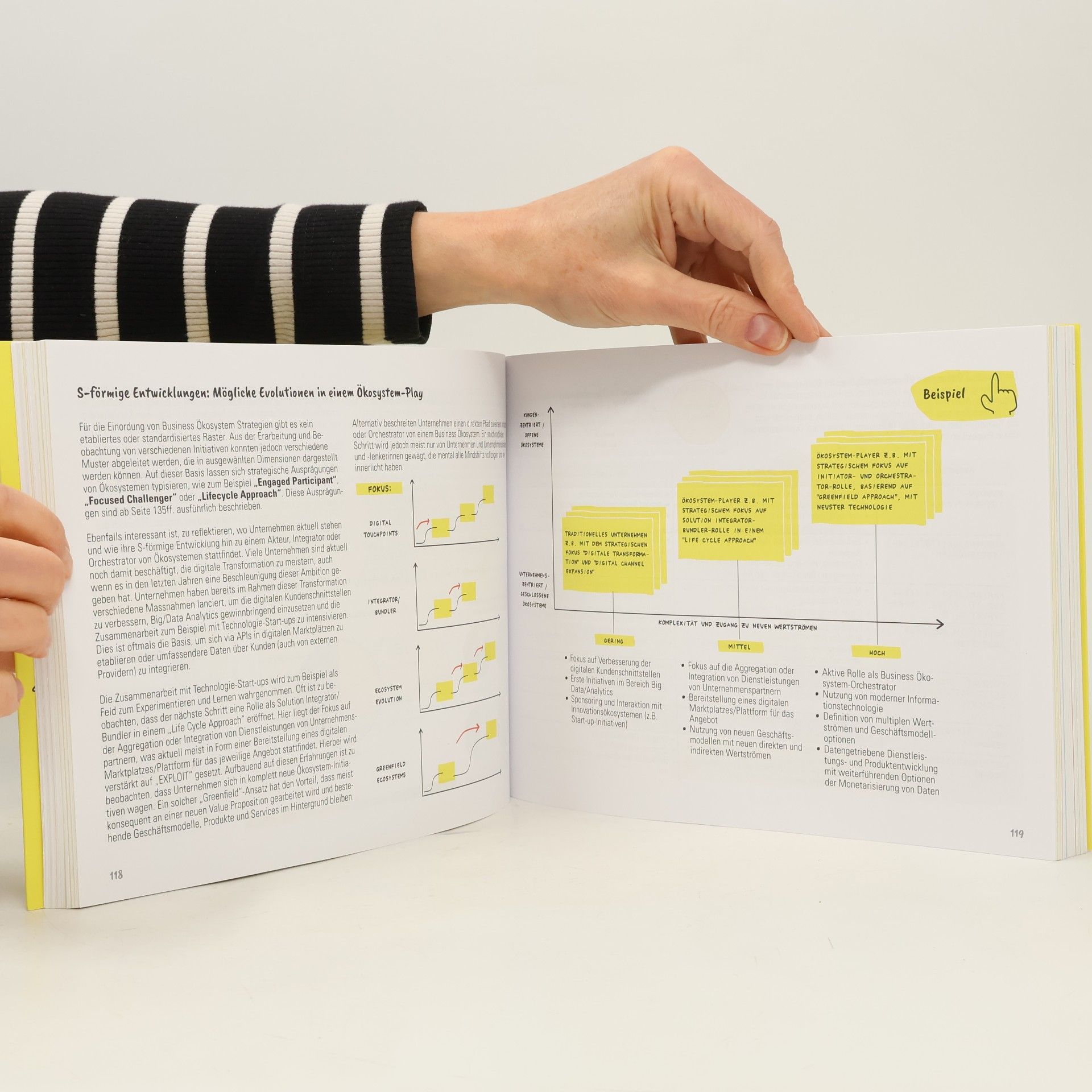 Michael Lewrick Business Ökosystem Design