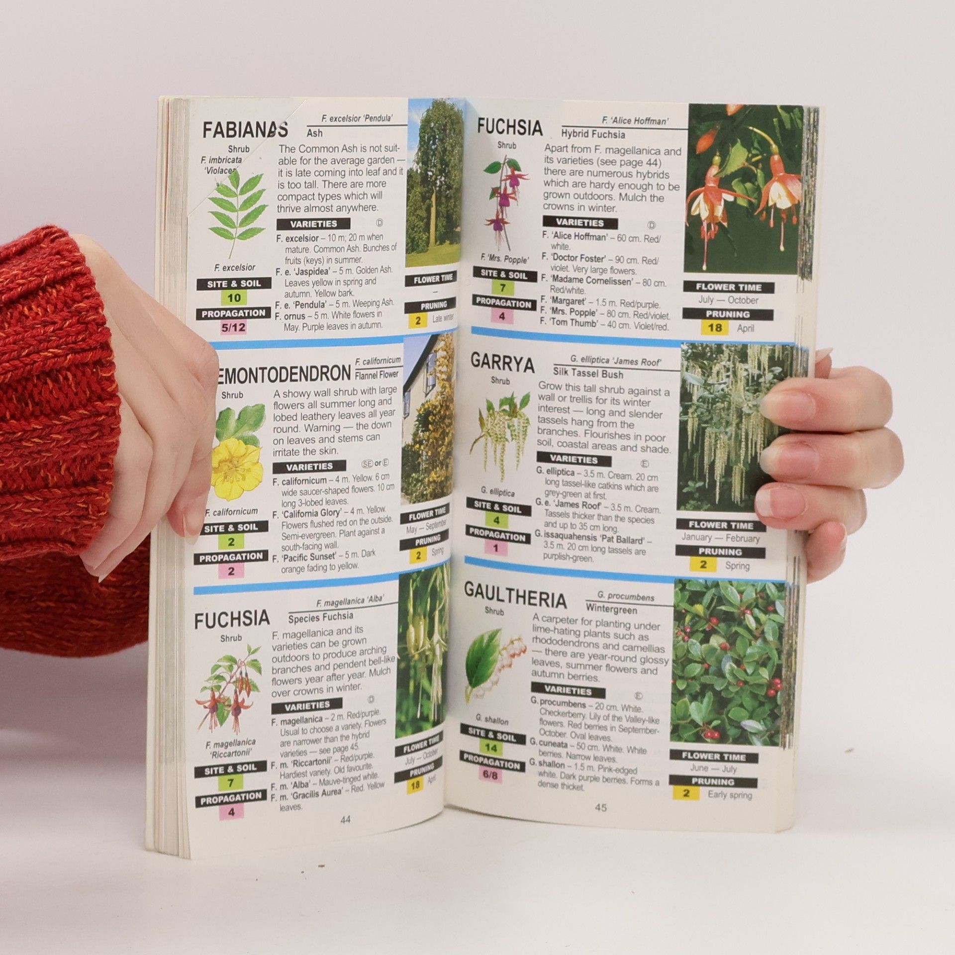 Dr. D. G. Hessayon The Pocket Tree & Shrub Expert