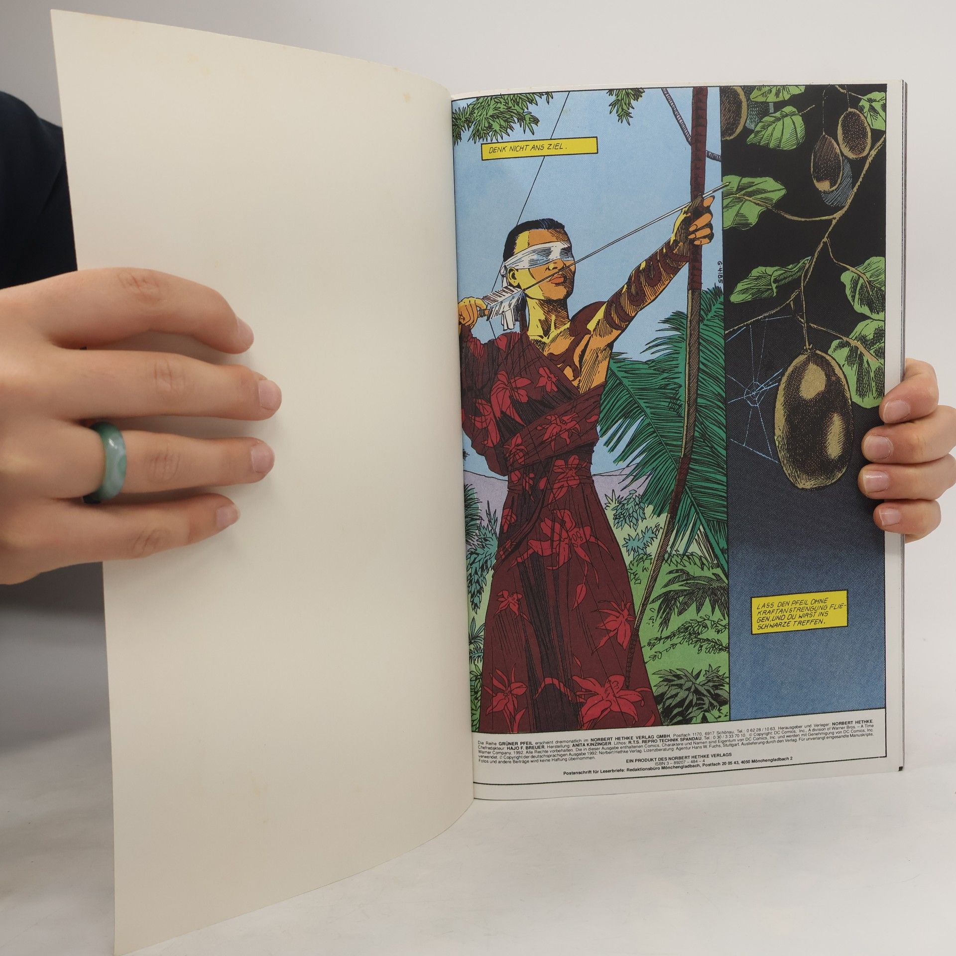 Mike Grell Grüner Pfeil - 2: Im Reich des Drachen
