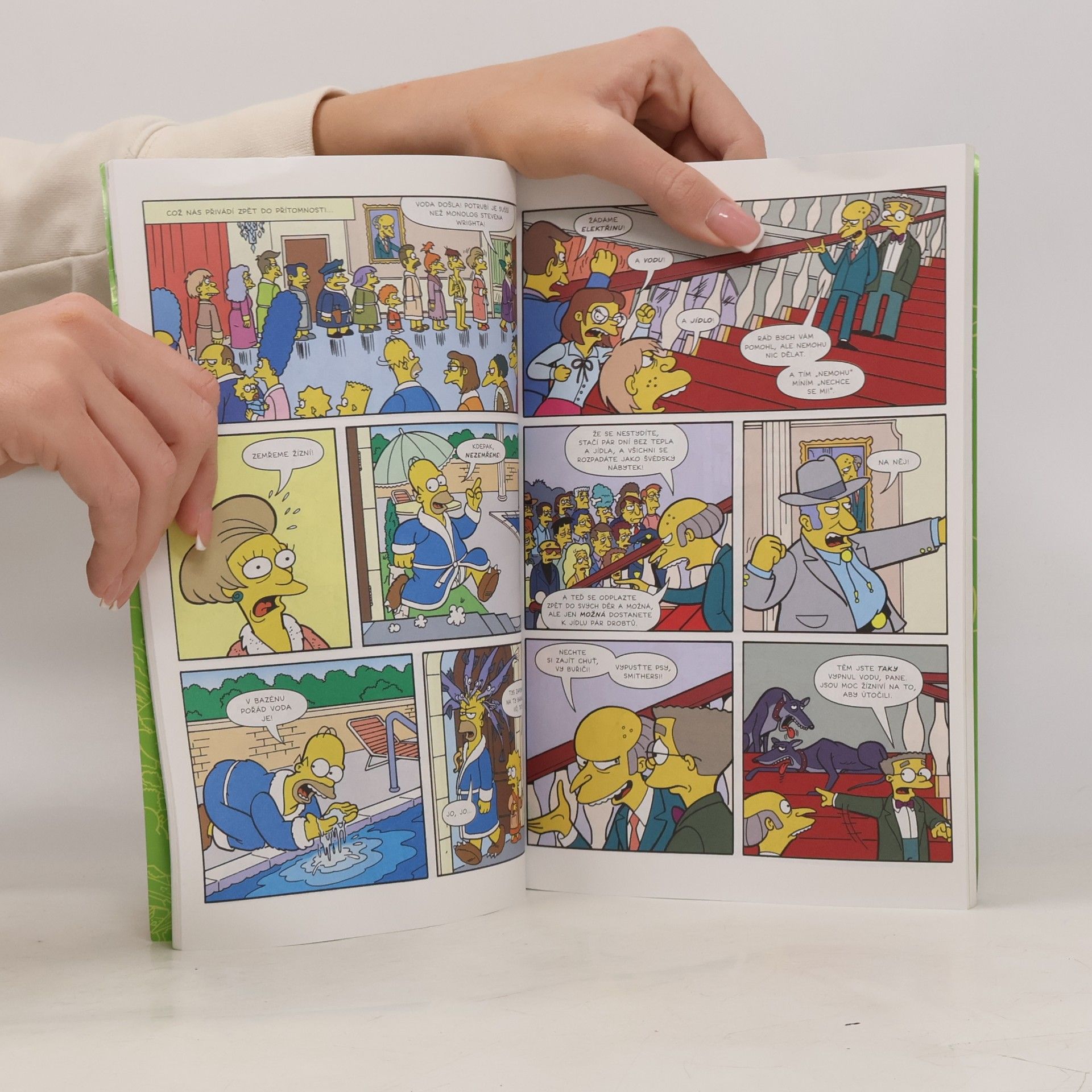 Matt Groening Simpsonovi: Komiksový výbuch
