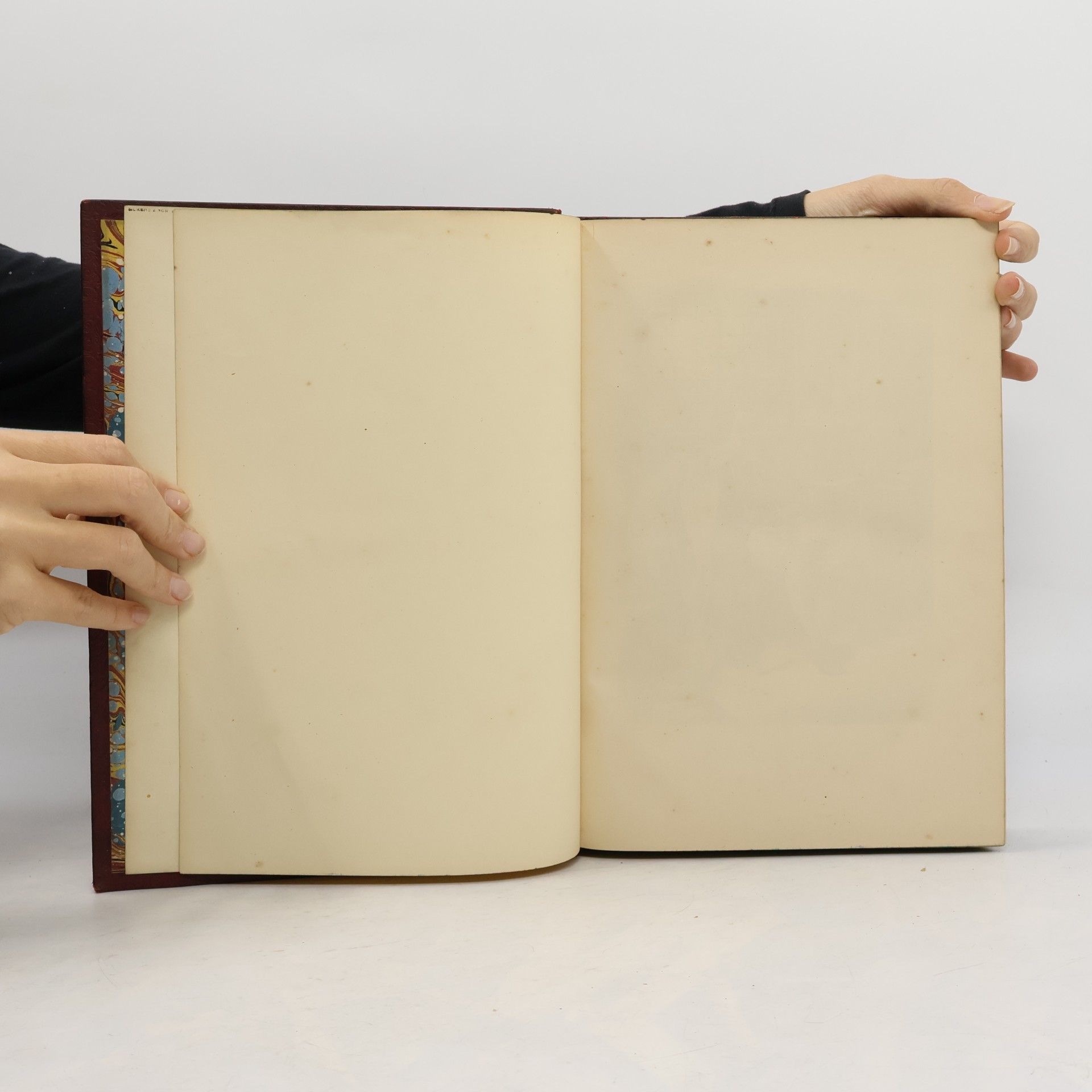 Various authors Dalziels’ Illustrated Goldsmith