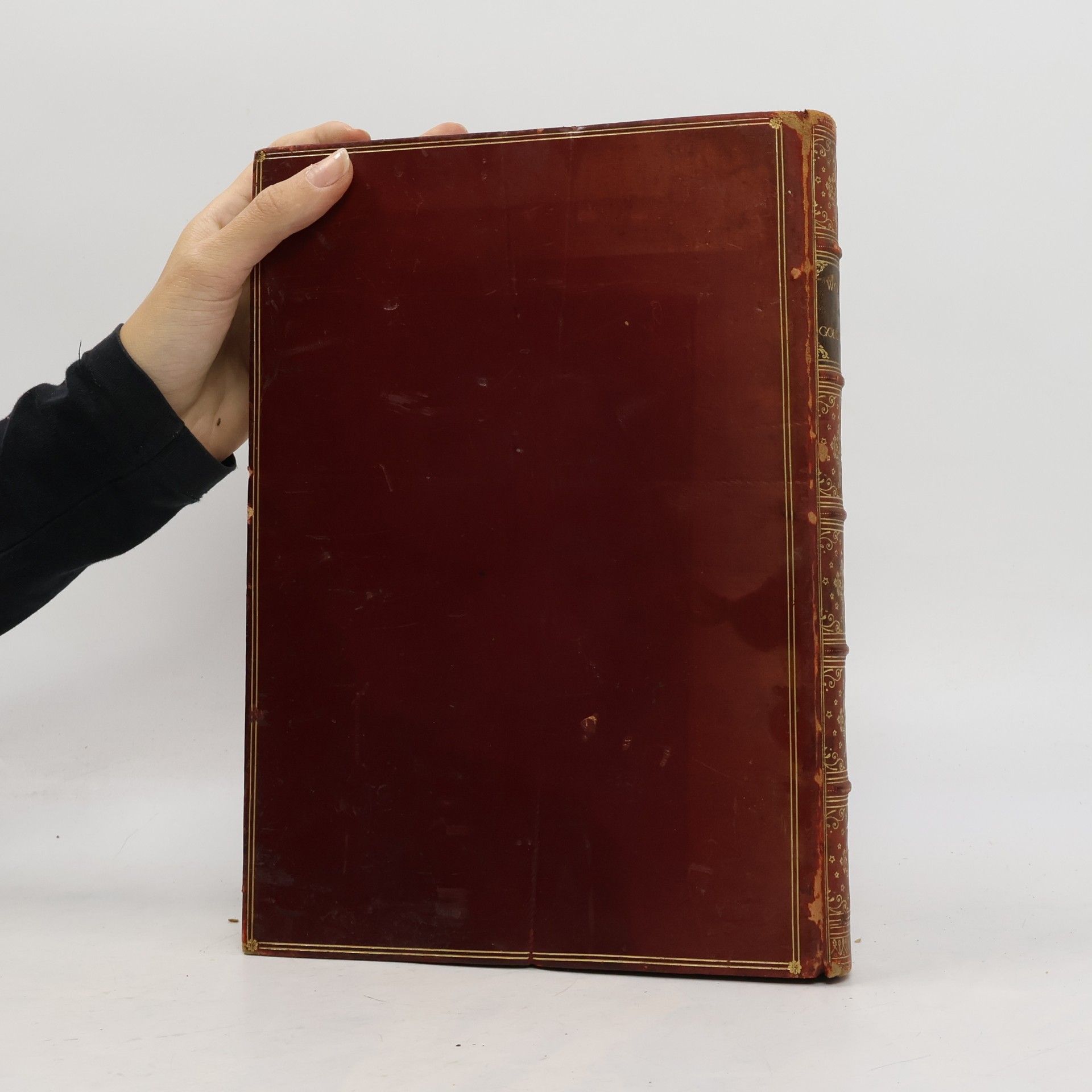 Various authors Dalziels’ Illustrated Goldsmith