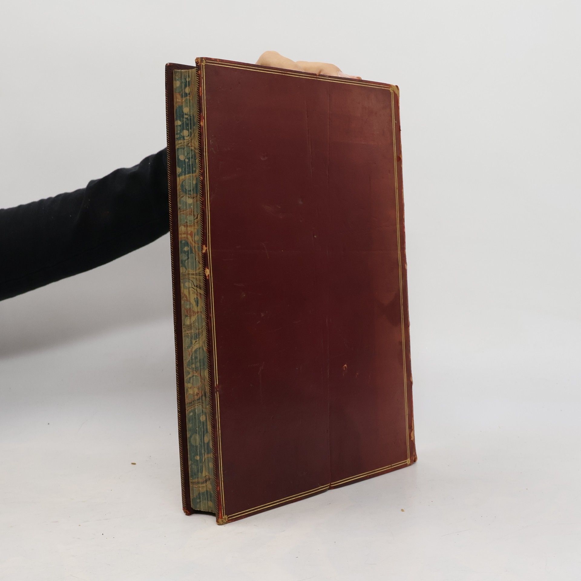 Various authors Dalziels’ Illustrated Goldsmith
