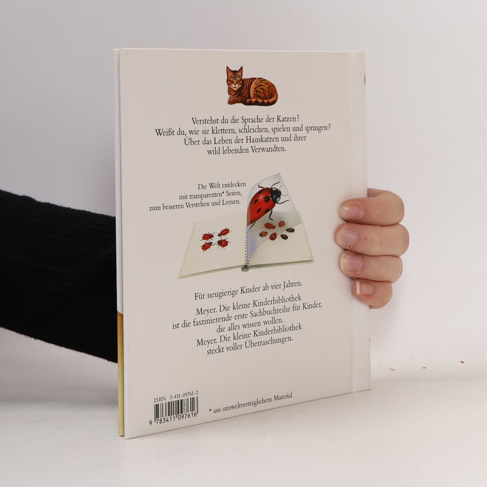 Autorenkollektiv Die Katze