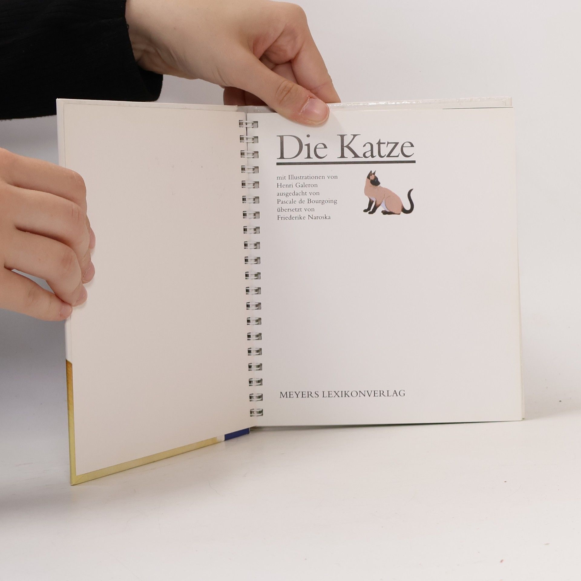 Autorenkollektiv Die Katze