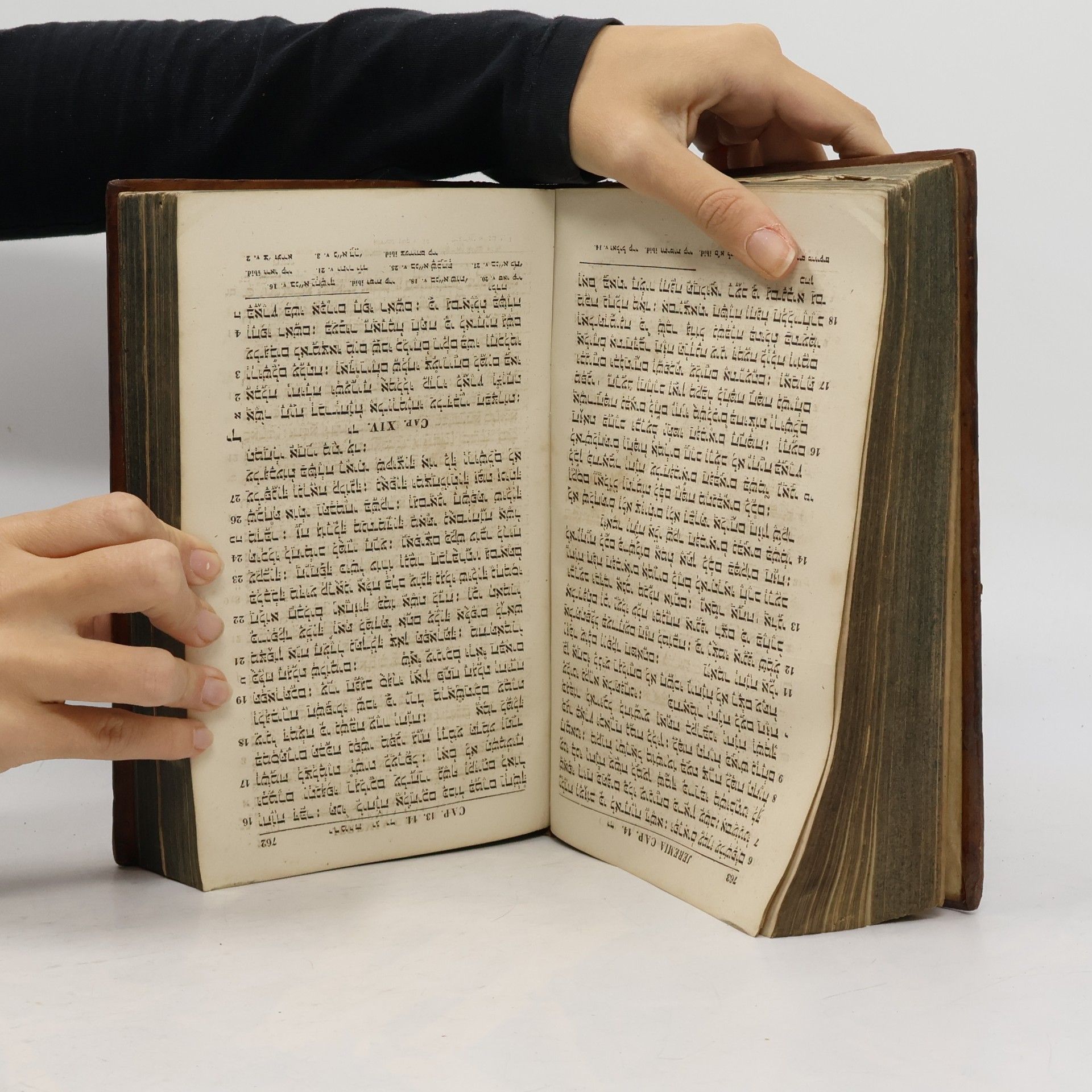 kolektiv תורה נביאים וכתובים Biblia hebraica