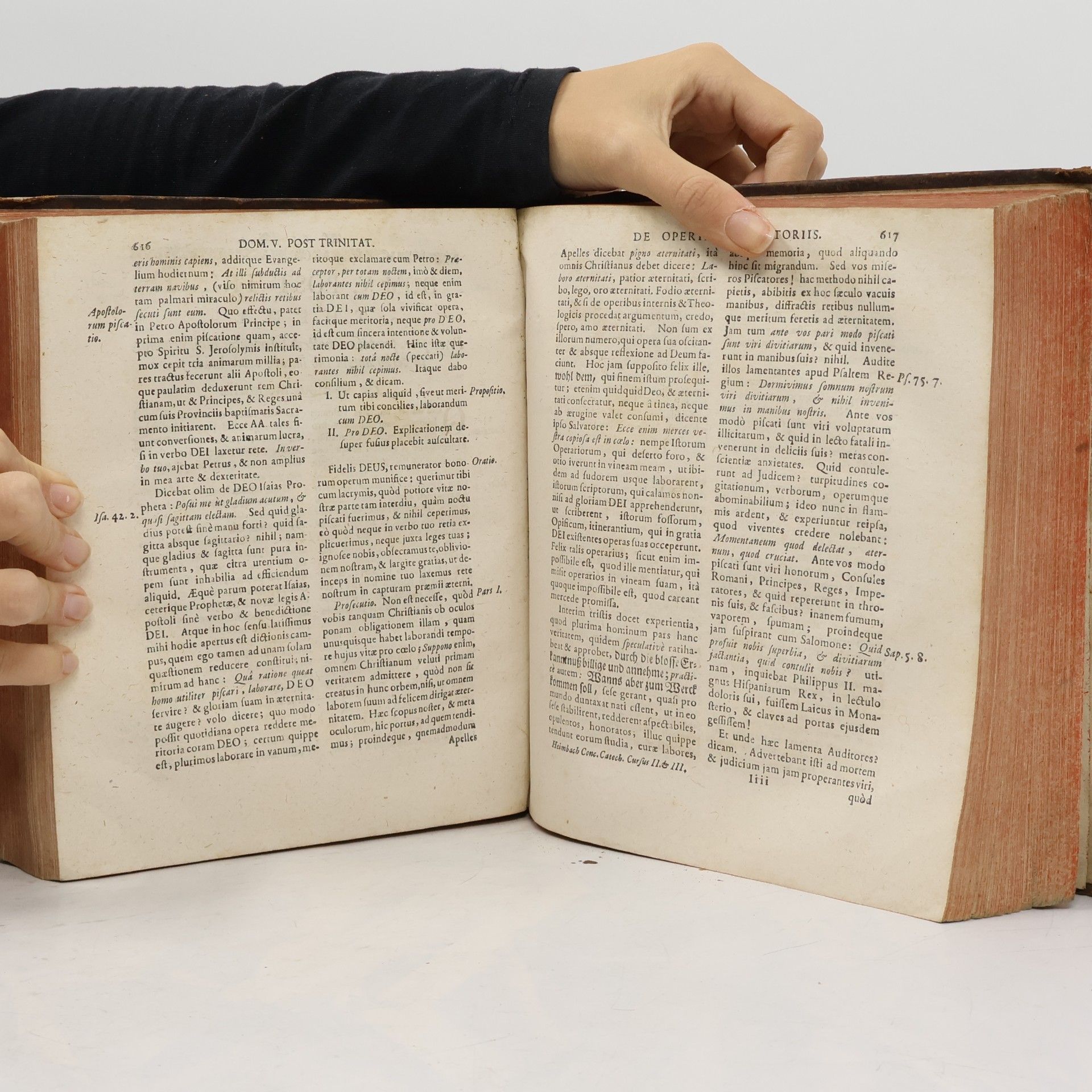 Matthias Heimbach Catechismus Christiano-Catholicus in cathedram concionatoriam elevatus