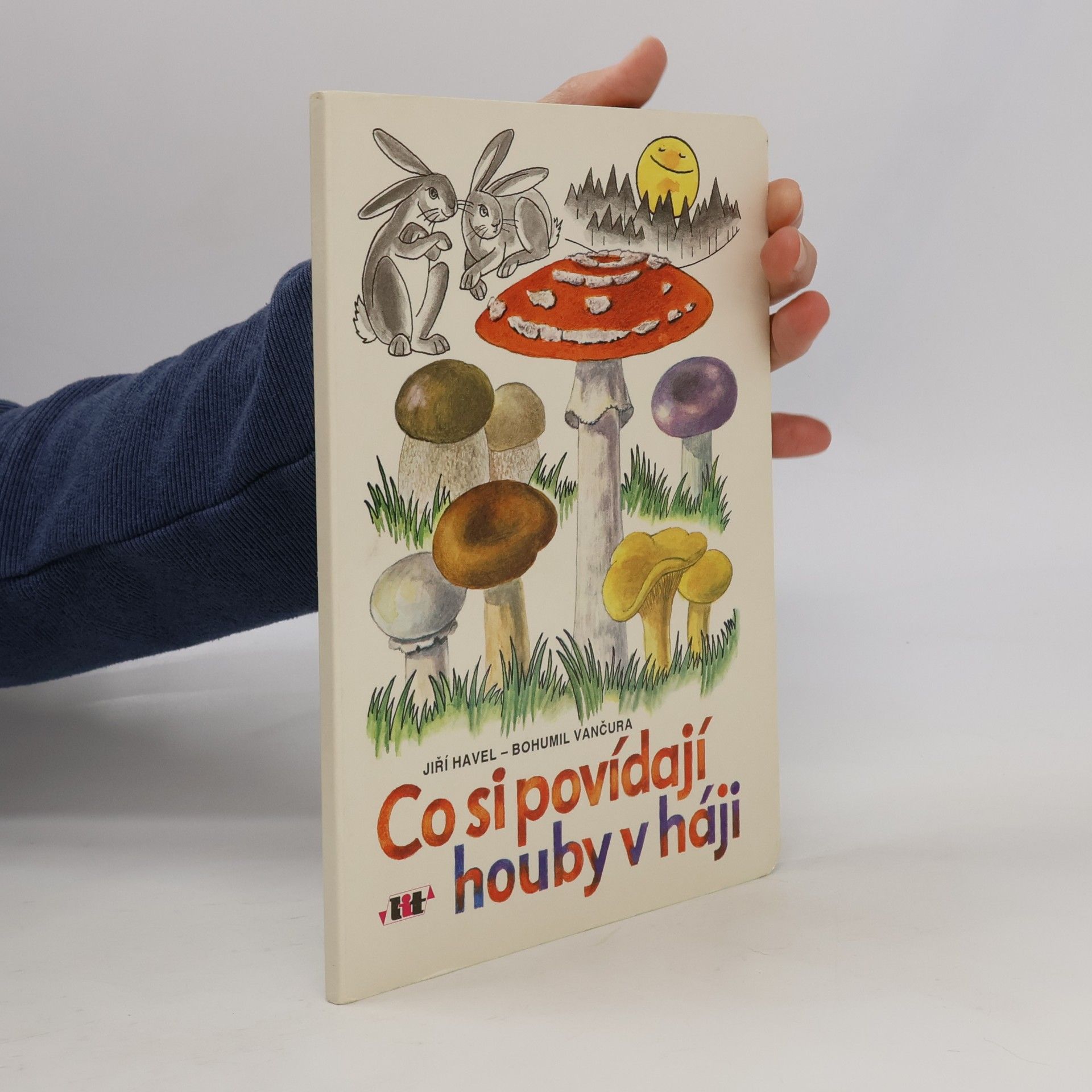 Co si povídají houby v háji