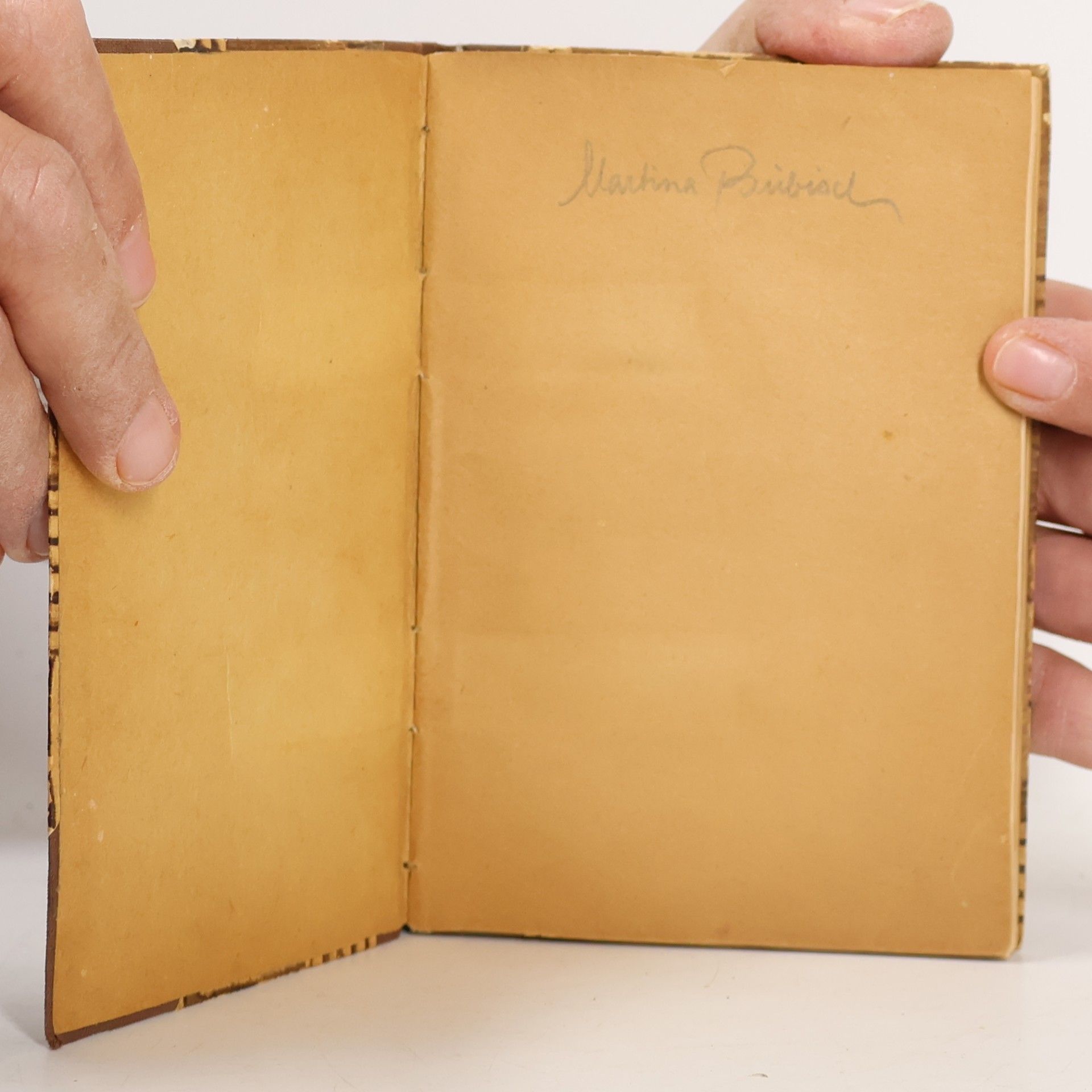 Paul Frank Taschenbüchlein des Musikers