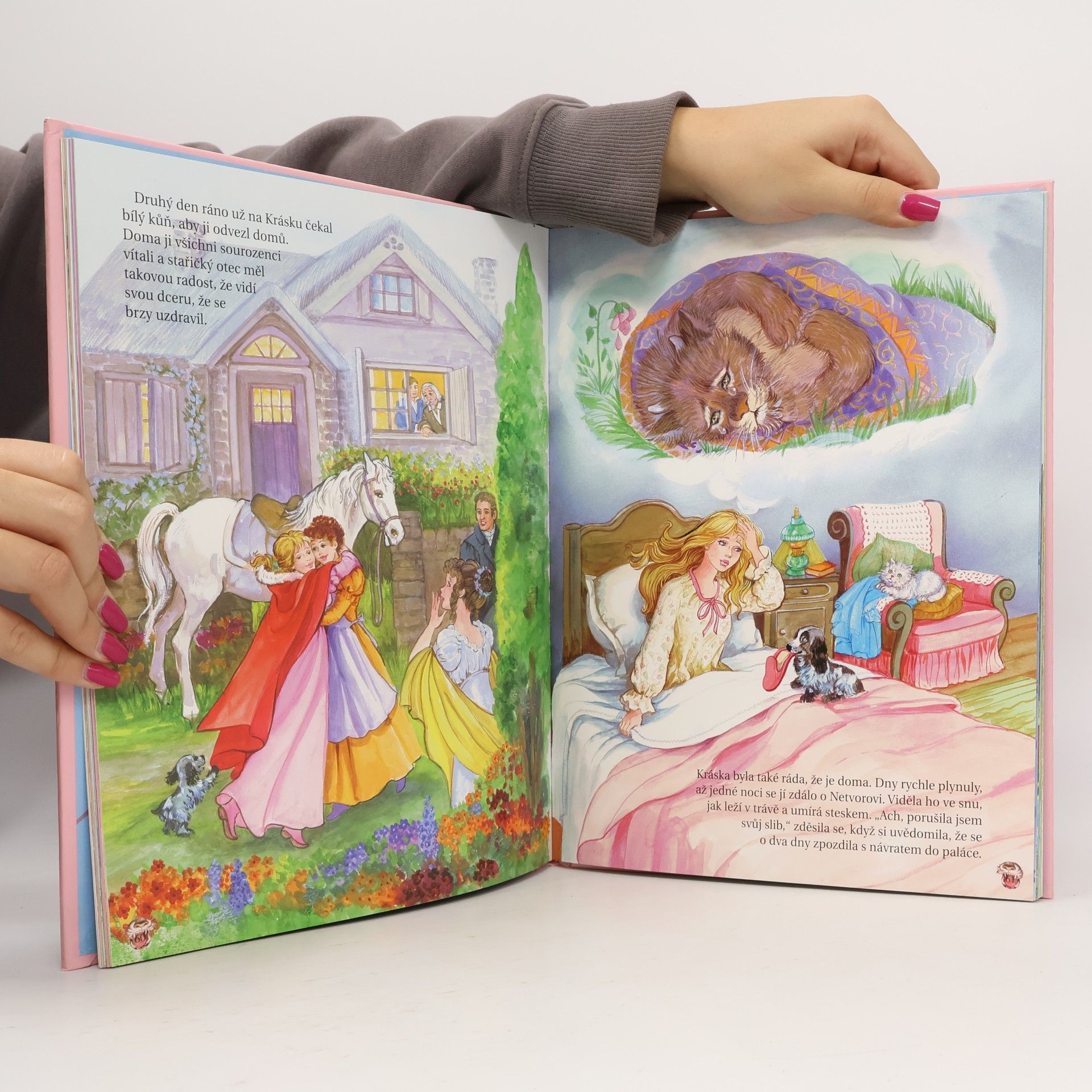 Collectif d'auteurs Pohádky o princeznách