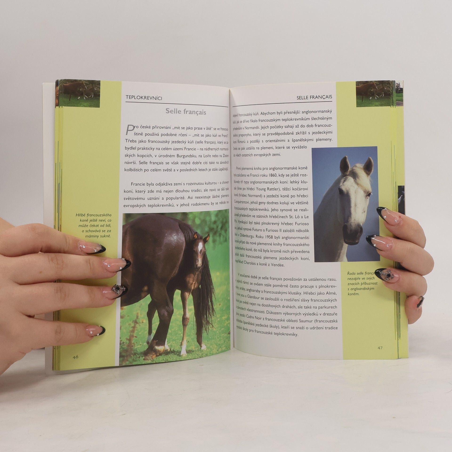 Collectif d'auteurs Atlas koní