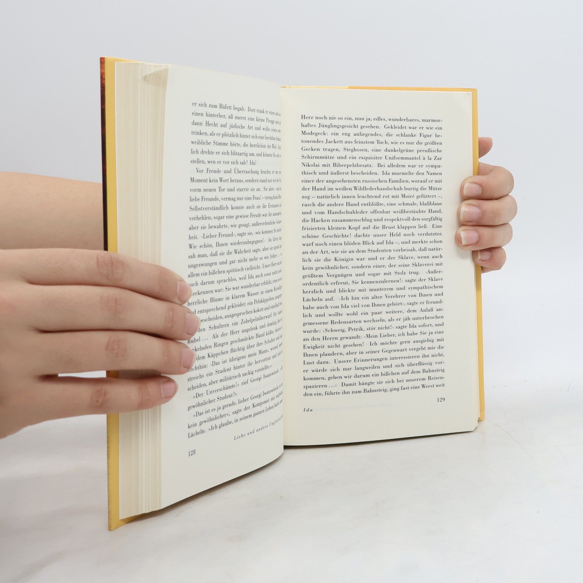Ivan Bunin Liebe und andere Unglücksfälle, Erfolgsausgabe. Novellen