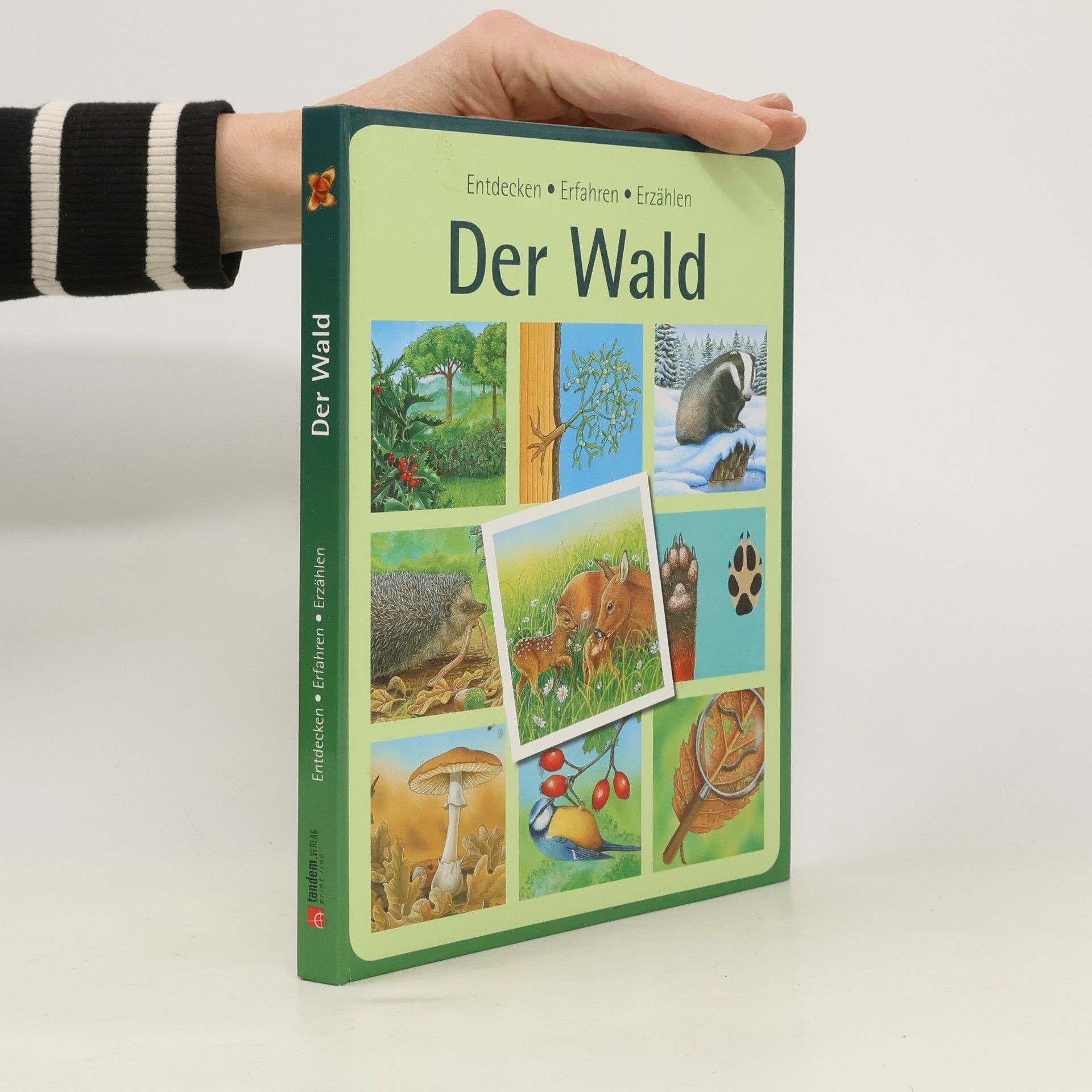 Autorenkollektiv Der Wald