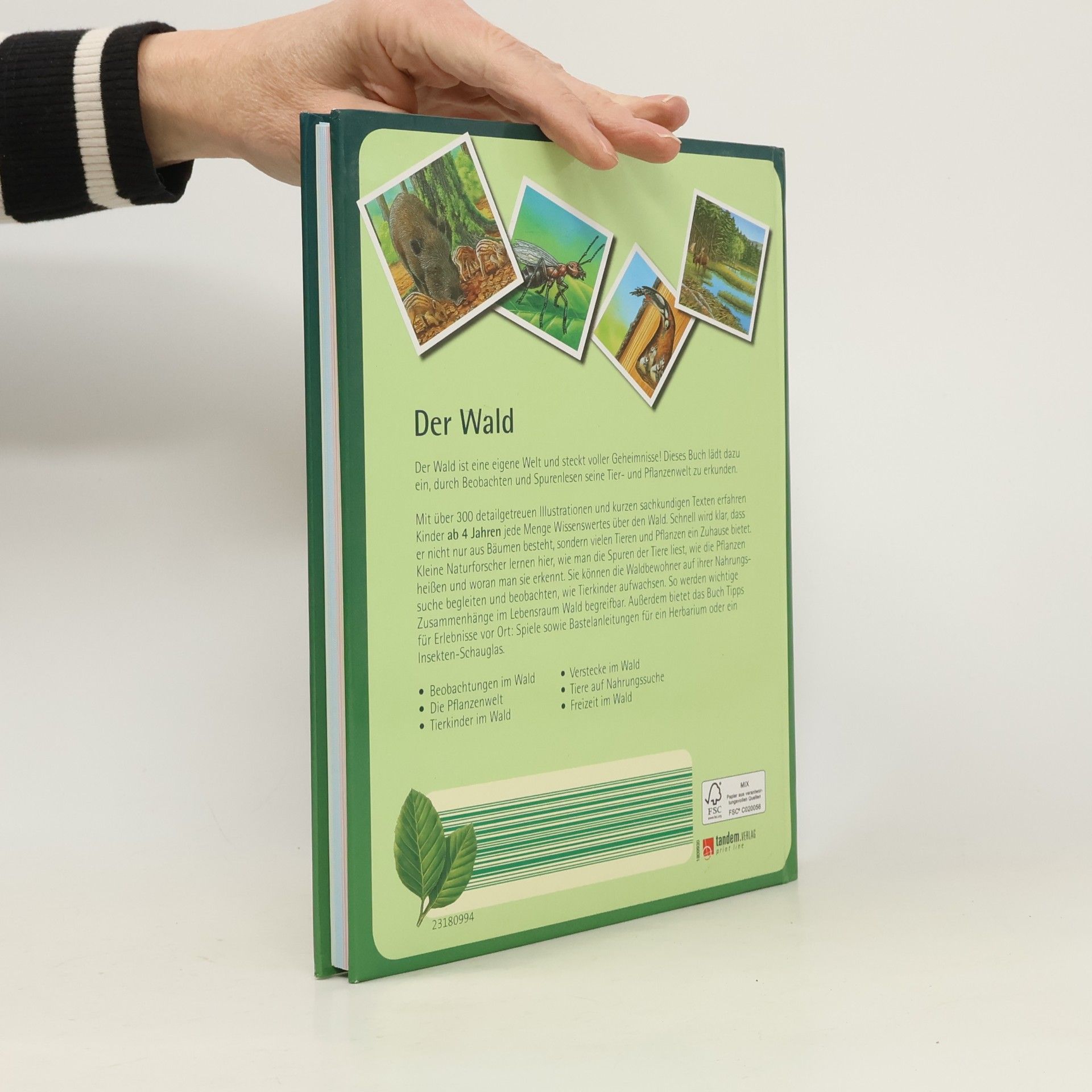 Autorenkollektiv Der Wald