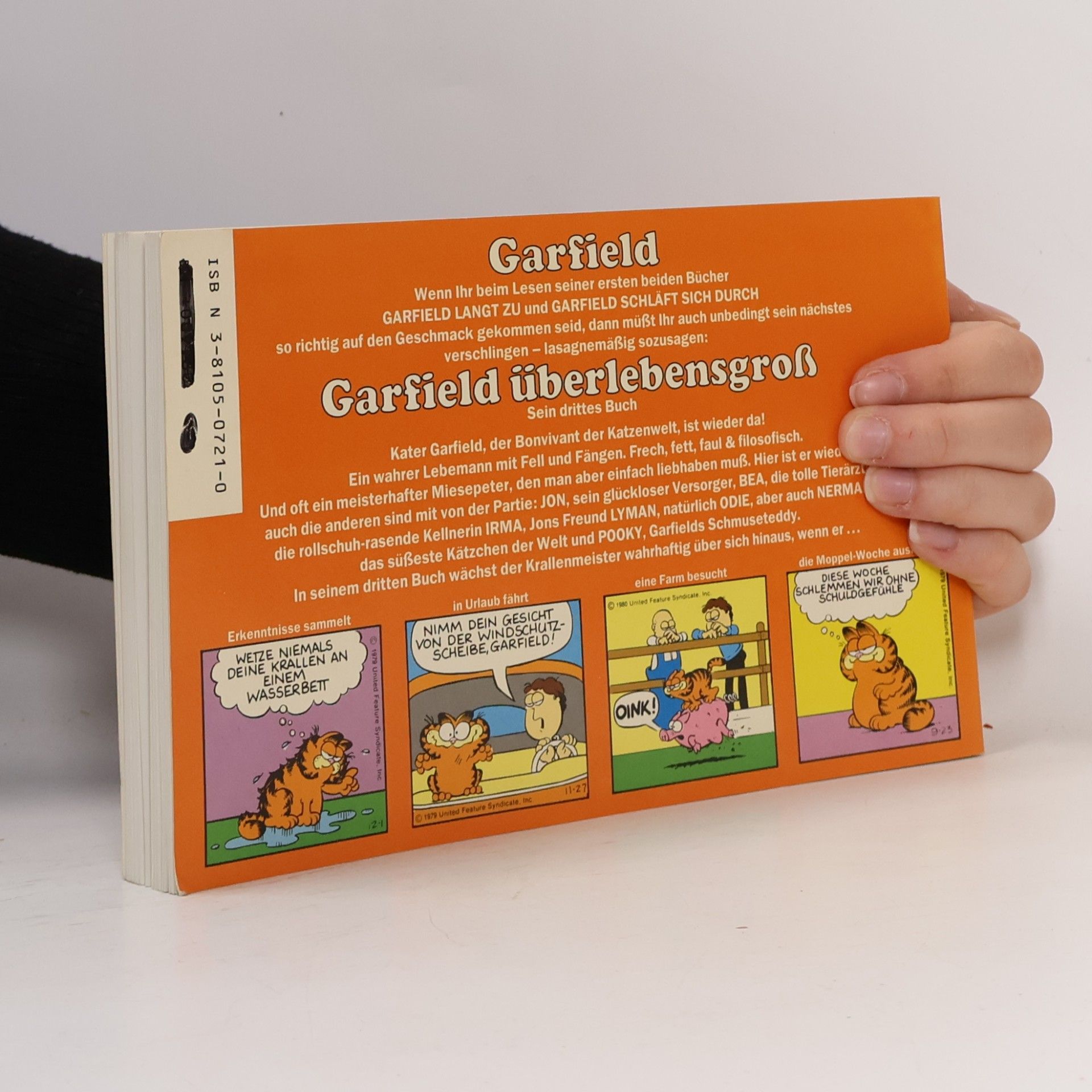 Jim Davis Garfield überlebensgroẞ