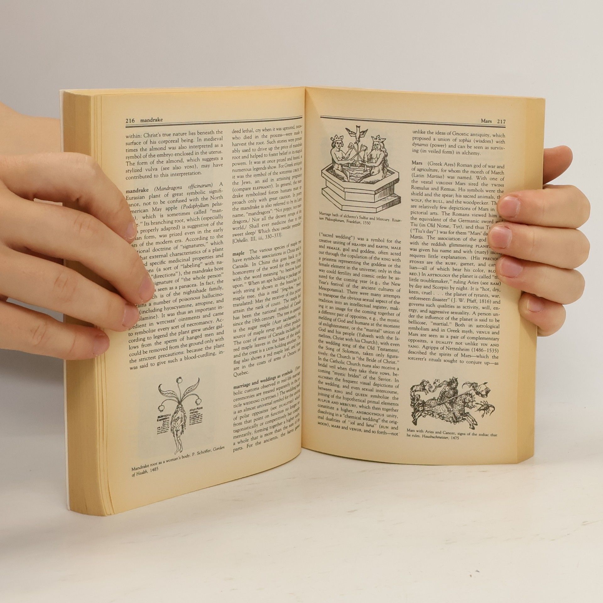 Hans Biedermann The Wordsworth Dictionary of Symbolism