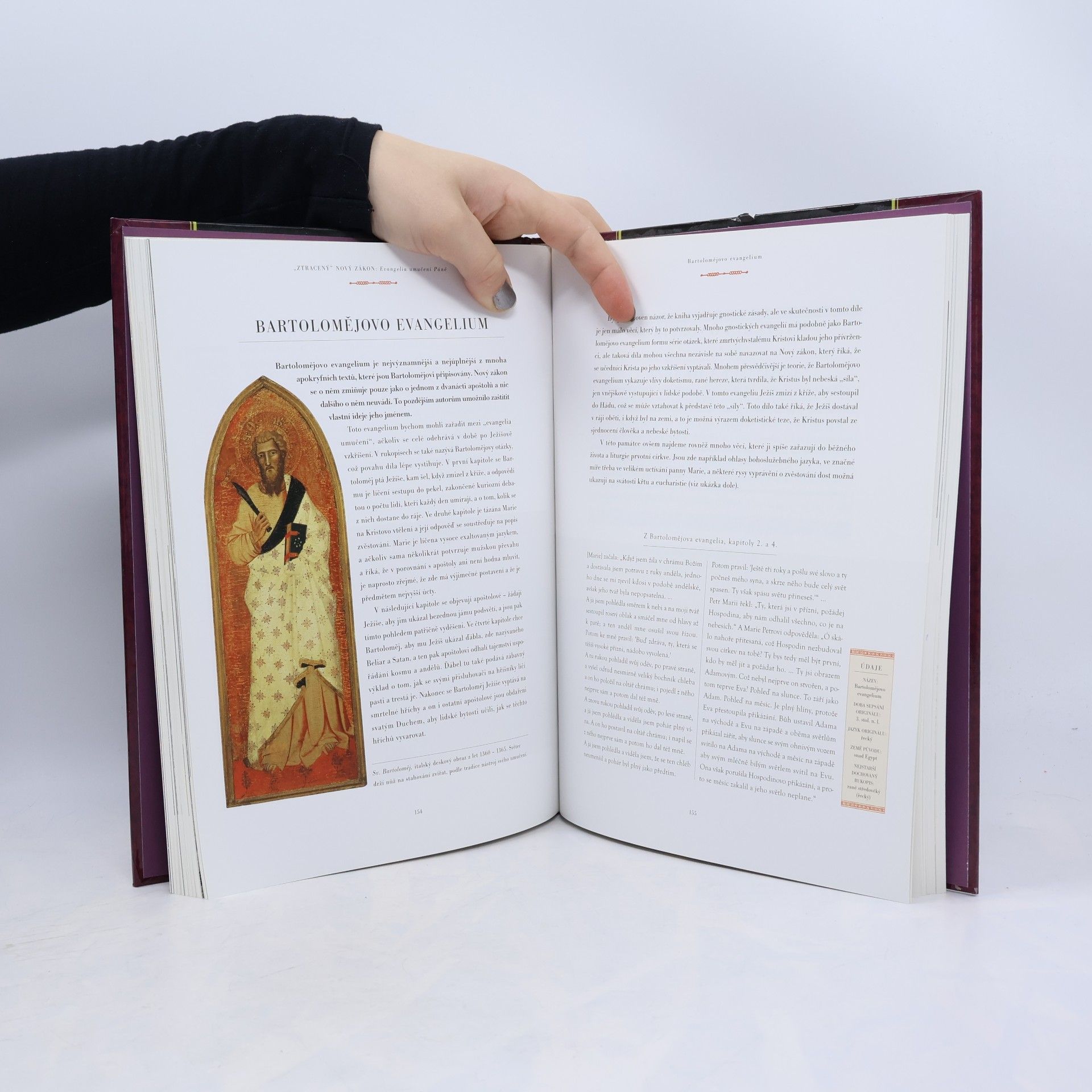 J. R. Porter Ztracená Bible