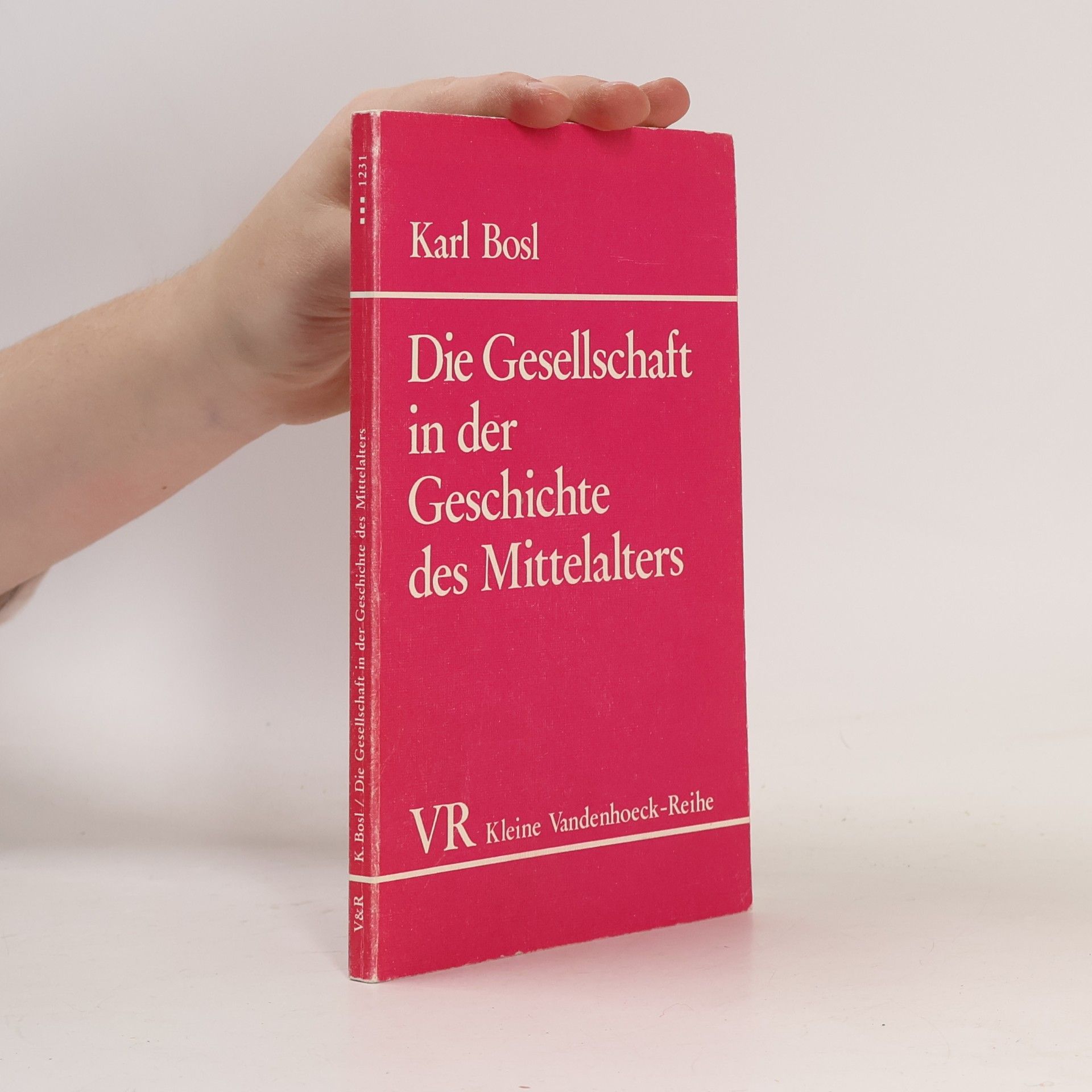 Die Gesellschaft in der Geschichte des Mittelalters