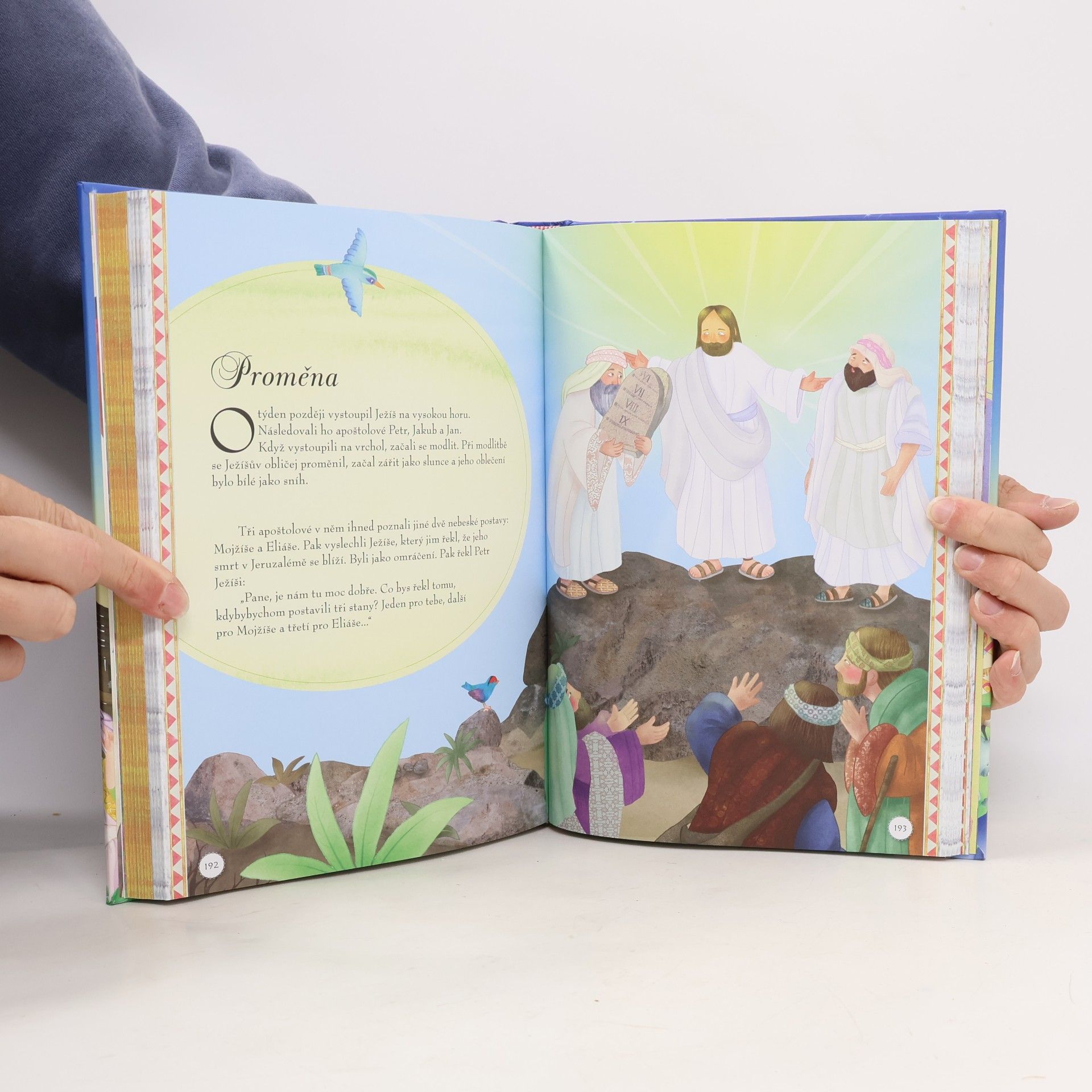 Collectif d'auteurs Bible: ilustrované příběhy pro děti