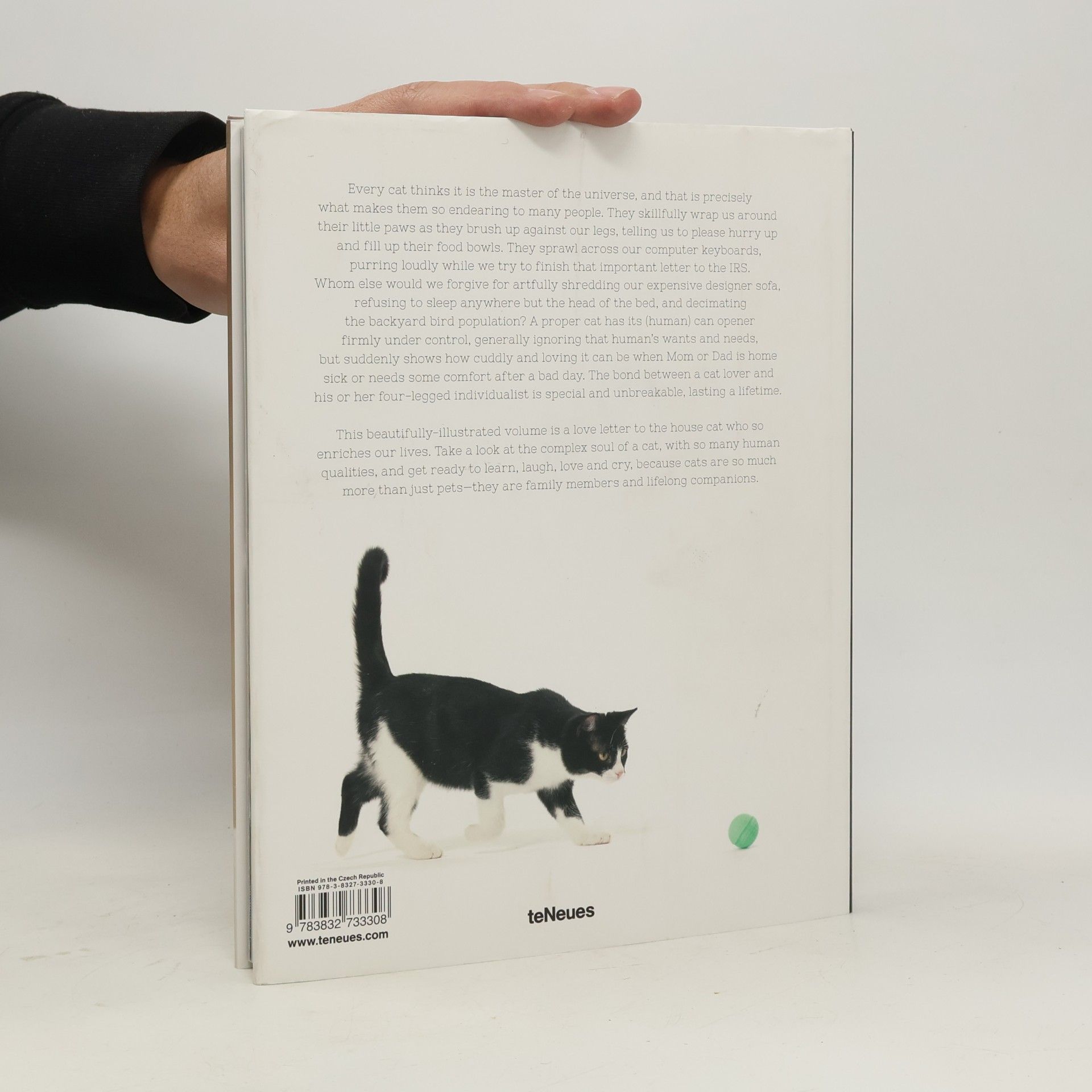 Andrea-Anna Cavelius For the Love of Cats