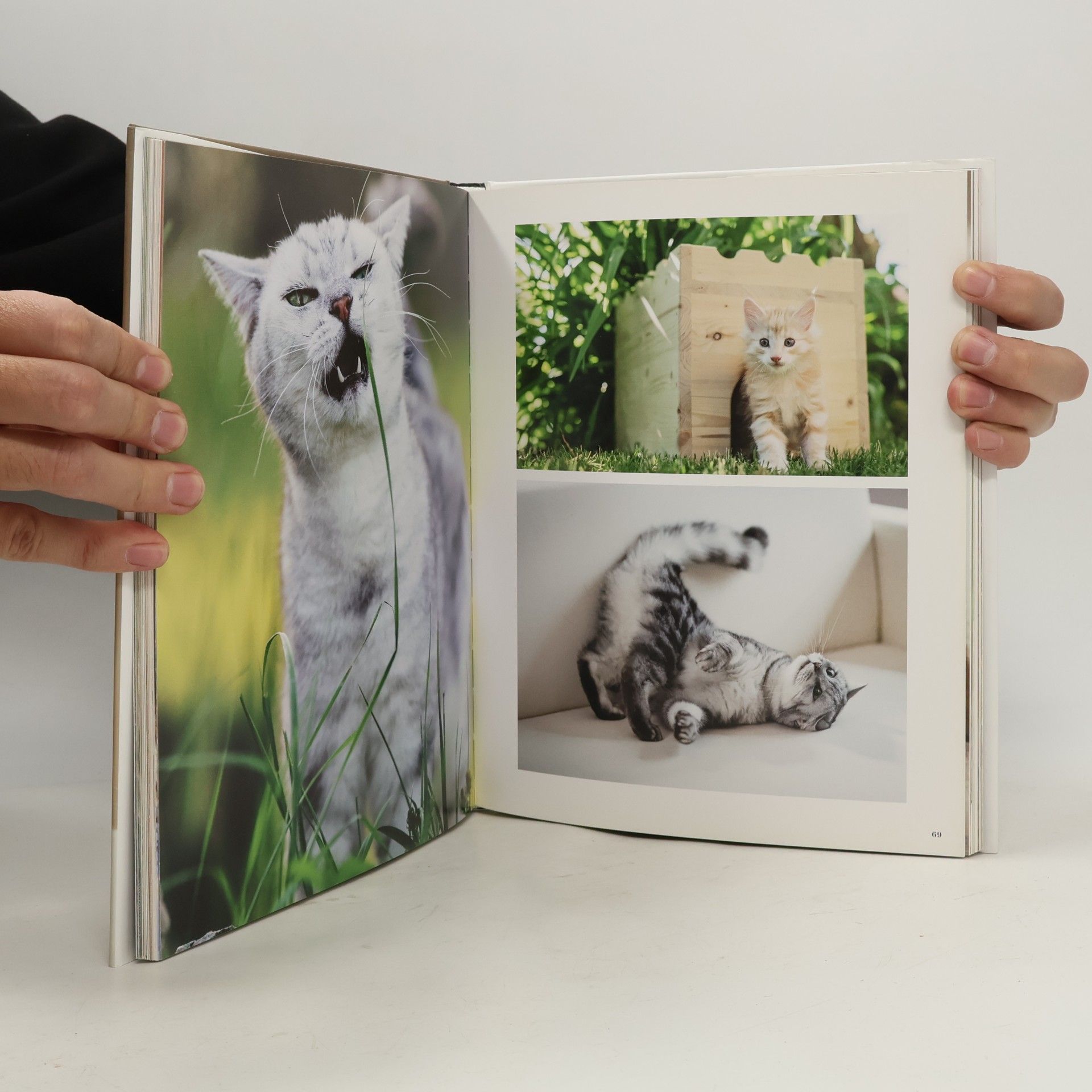 Andrea-Anna Cavelius For the Love of Cats