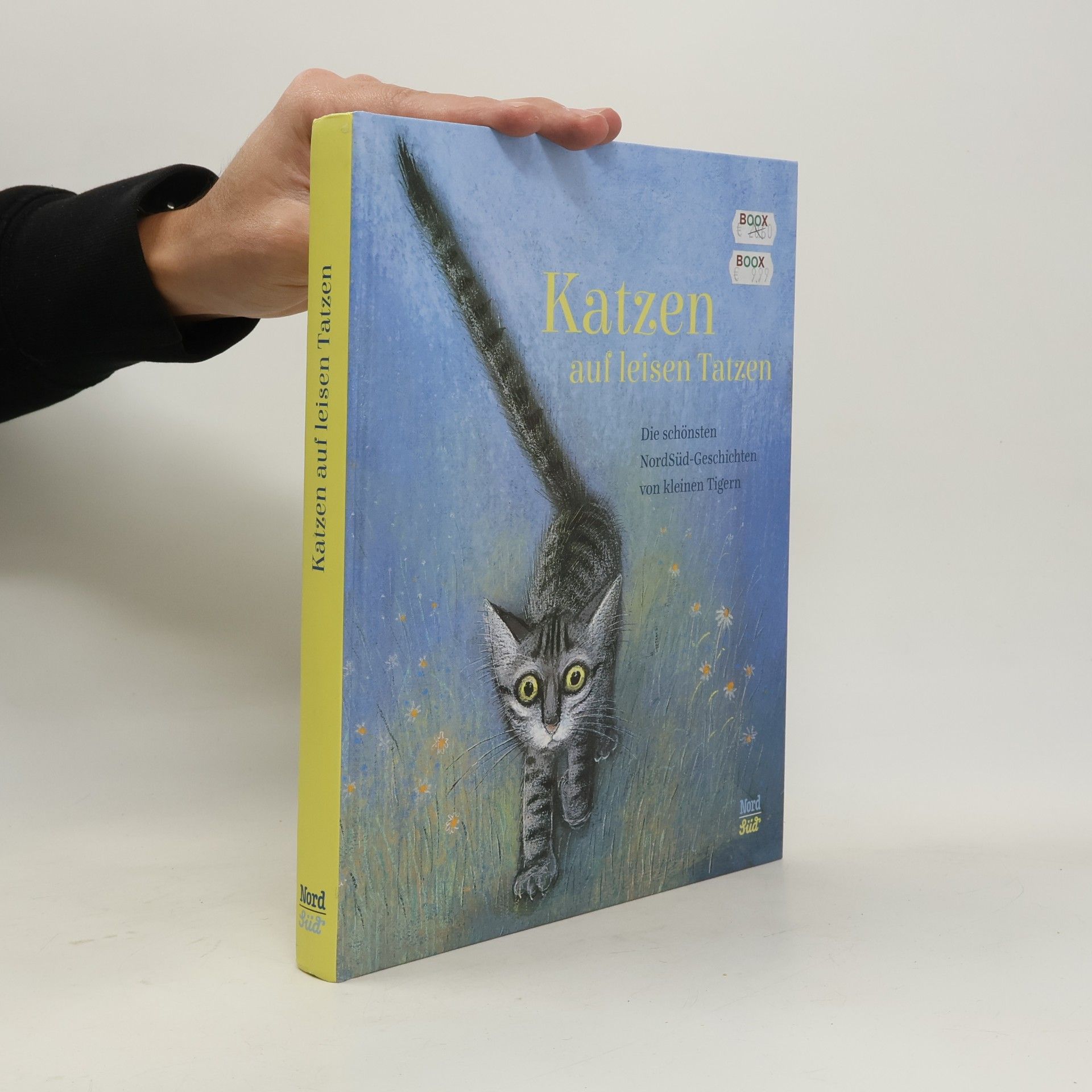 Katzen auf leisen Tatzen