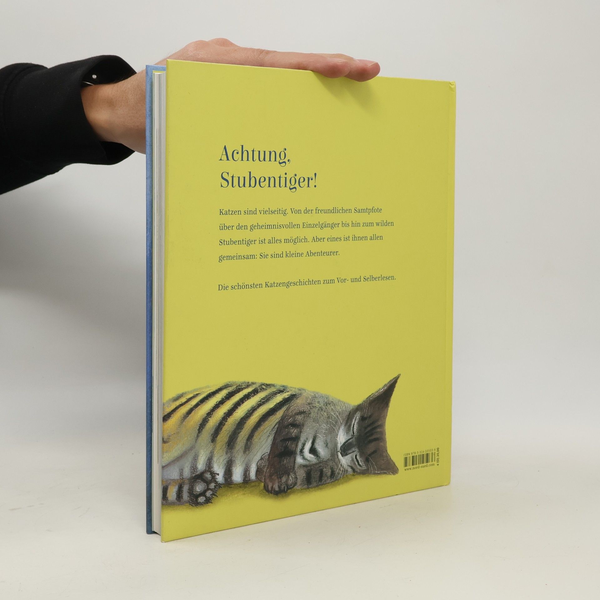 Katzen auf leisen Tatzen