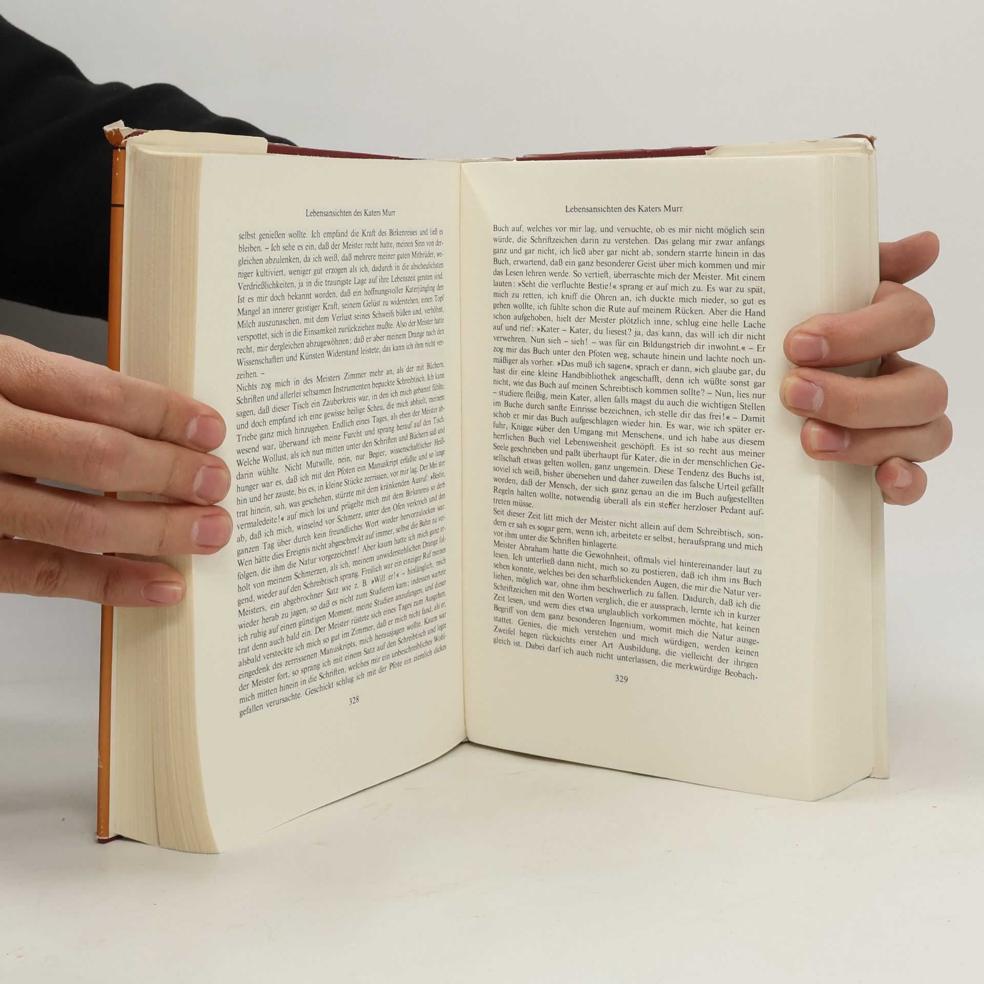 Autorenkollektiv E. T. A. Hoffmann