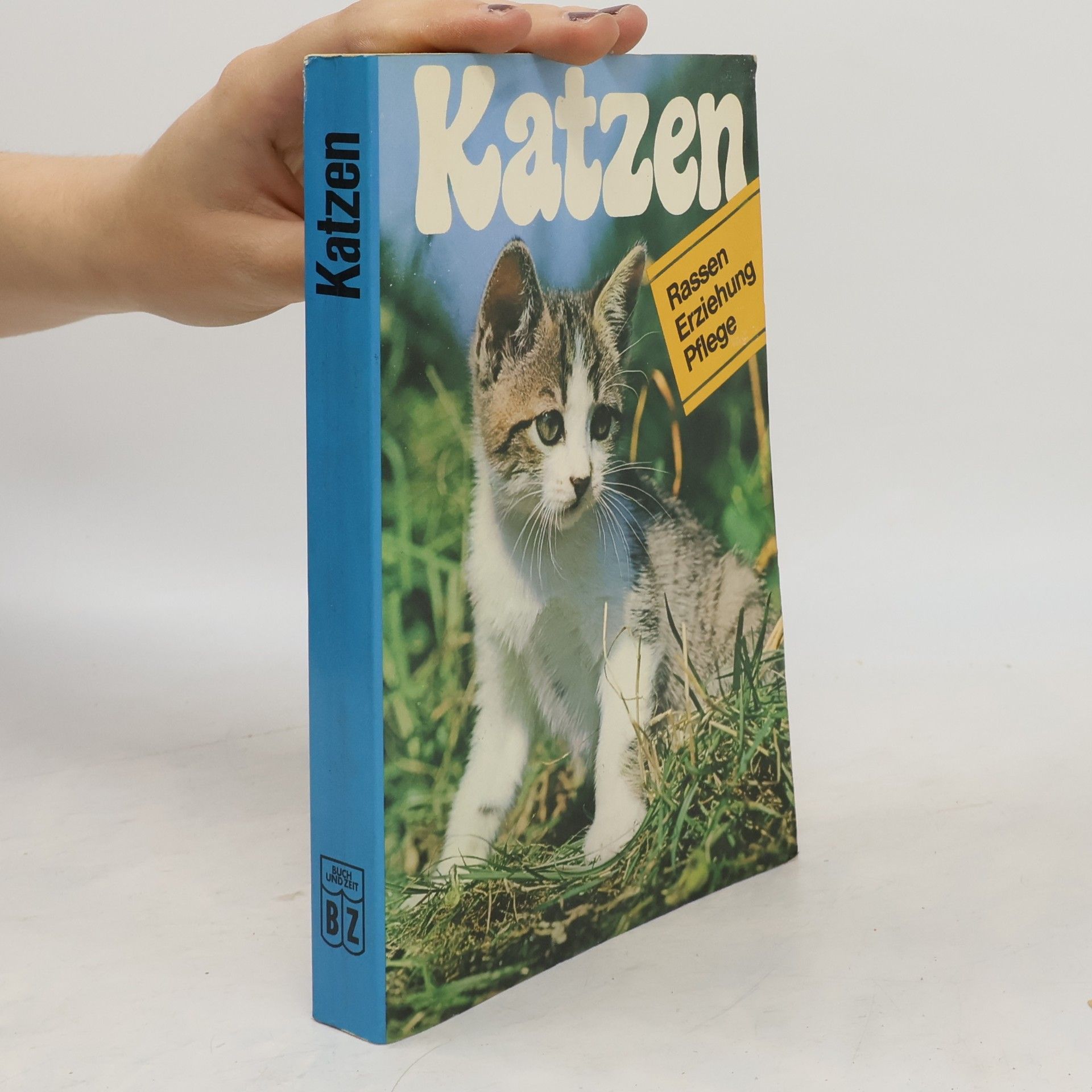 Katzen