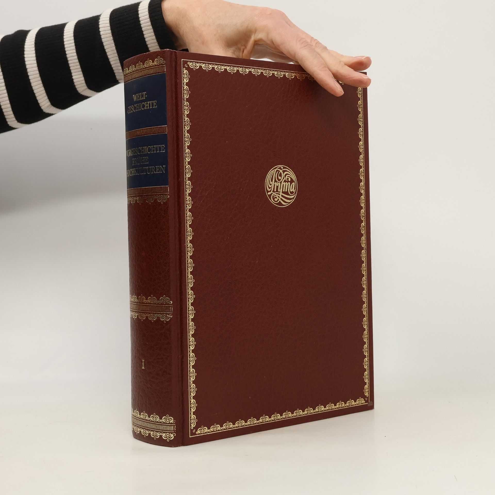 Various authors Weltgeschichte 1. Vorgeschichte Frühe Hochkulturen
