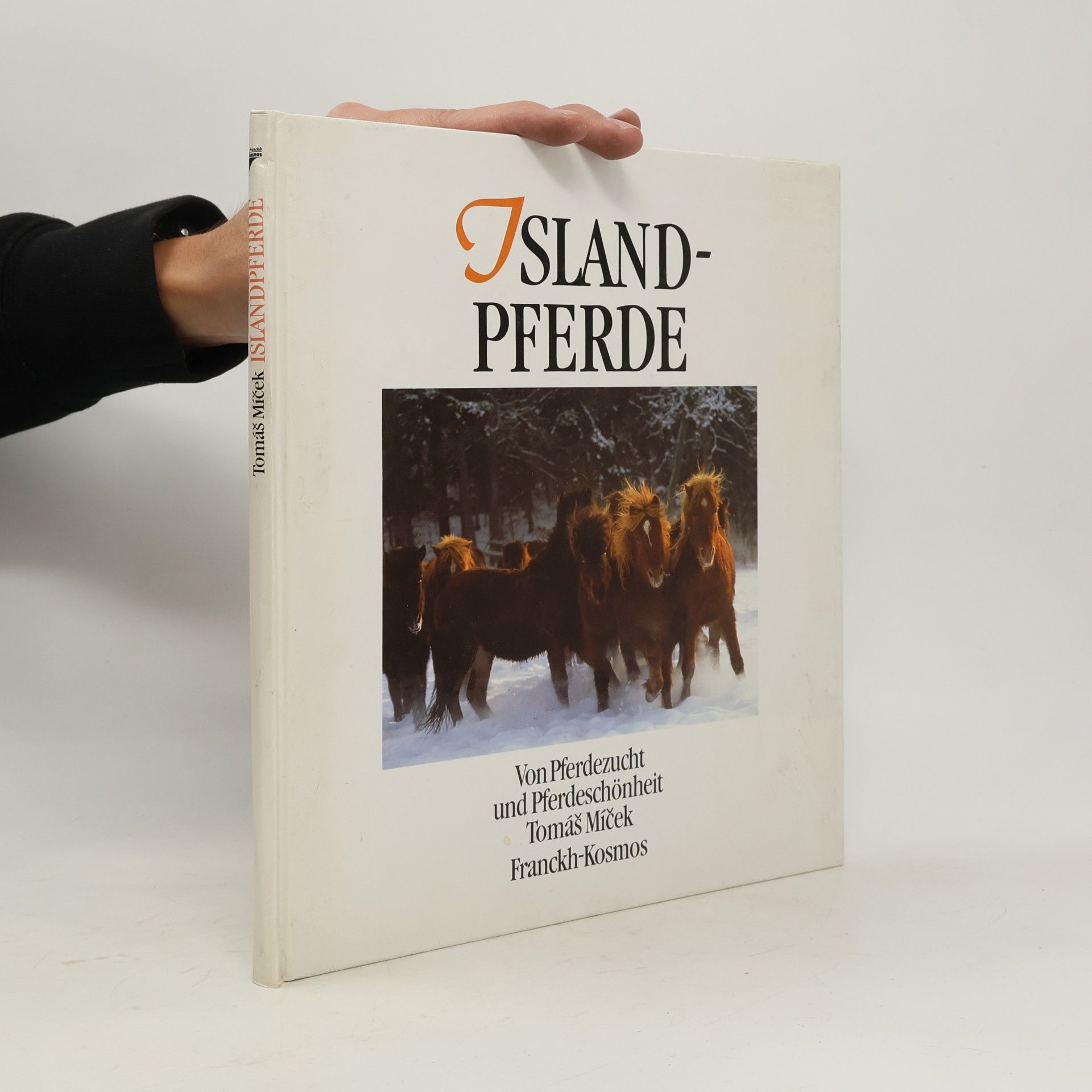 Islandpferde