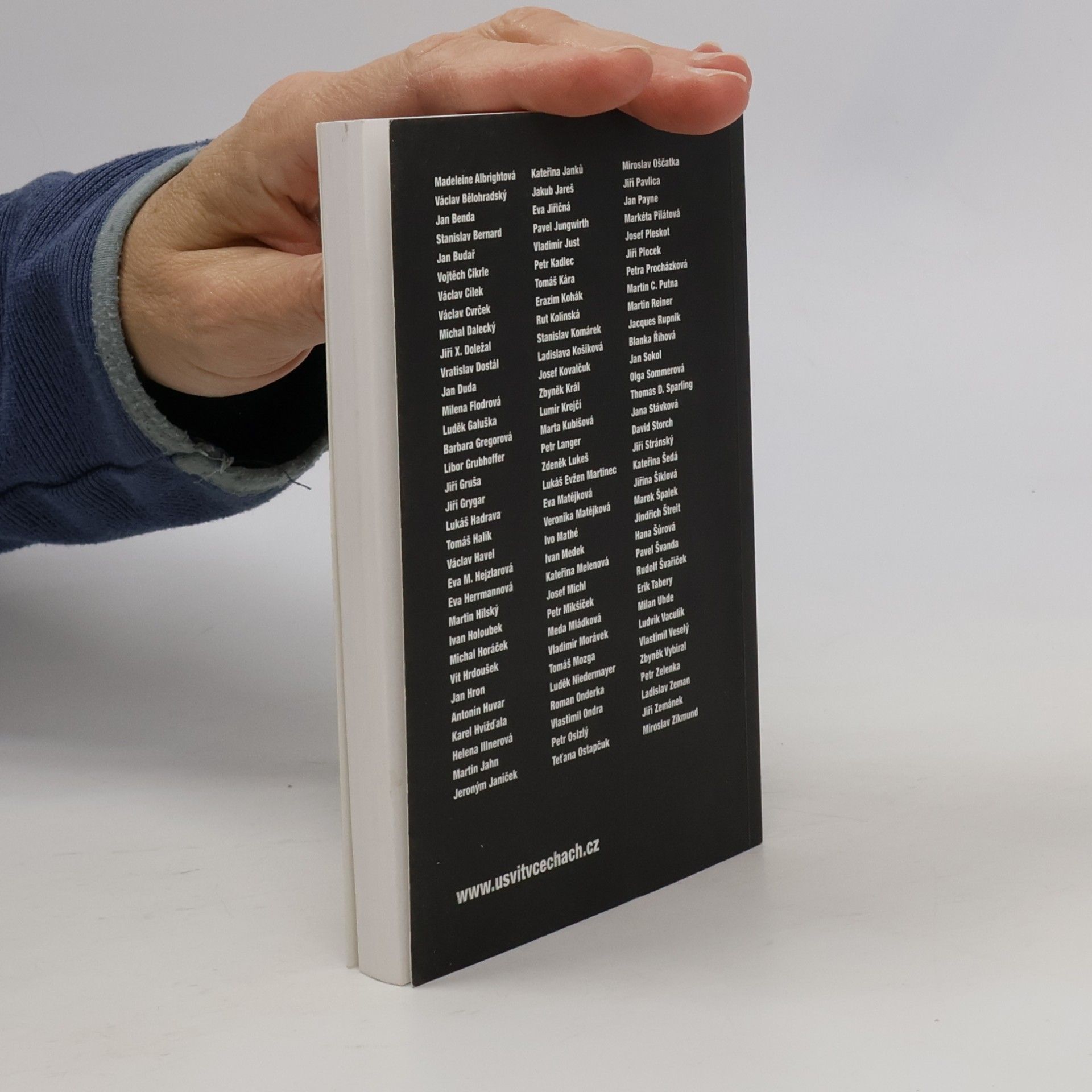 Various authors Česká vize. Hledání identity 21. století...