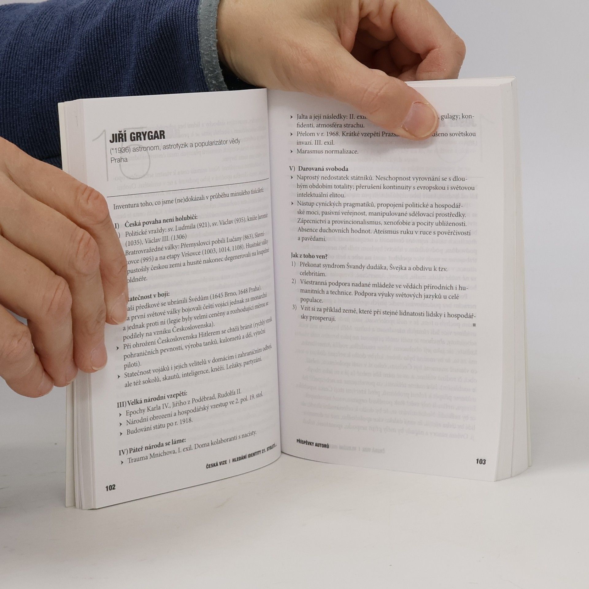 Various authors Česká vize. Hledání identity 21. století...