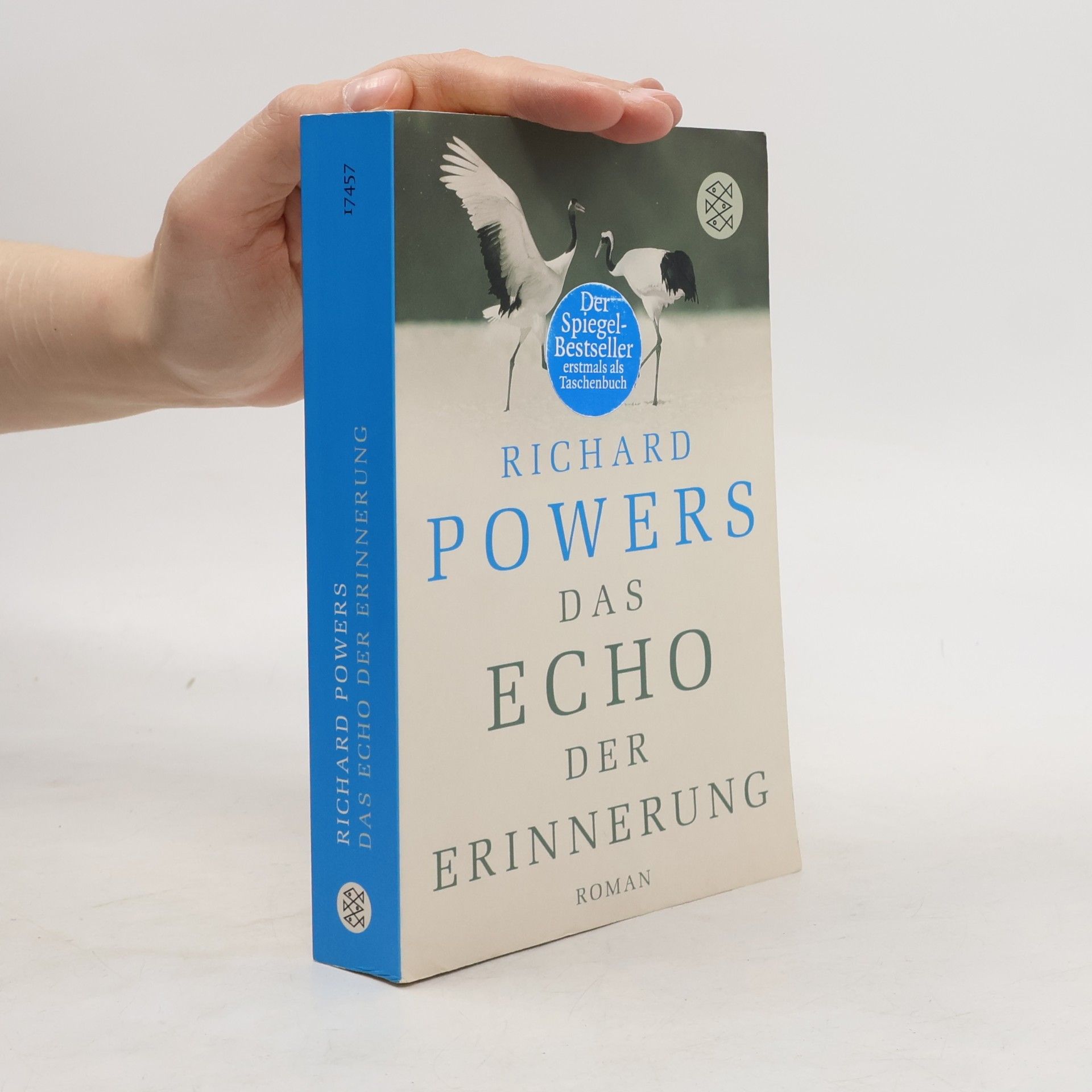 Das Echo der Erinnerung