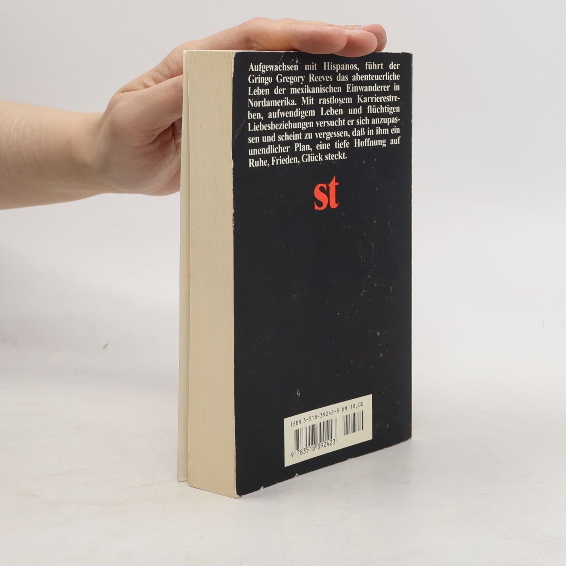 Isabel Allende Der unendliche Plan